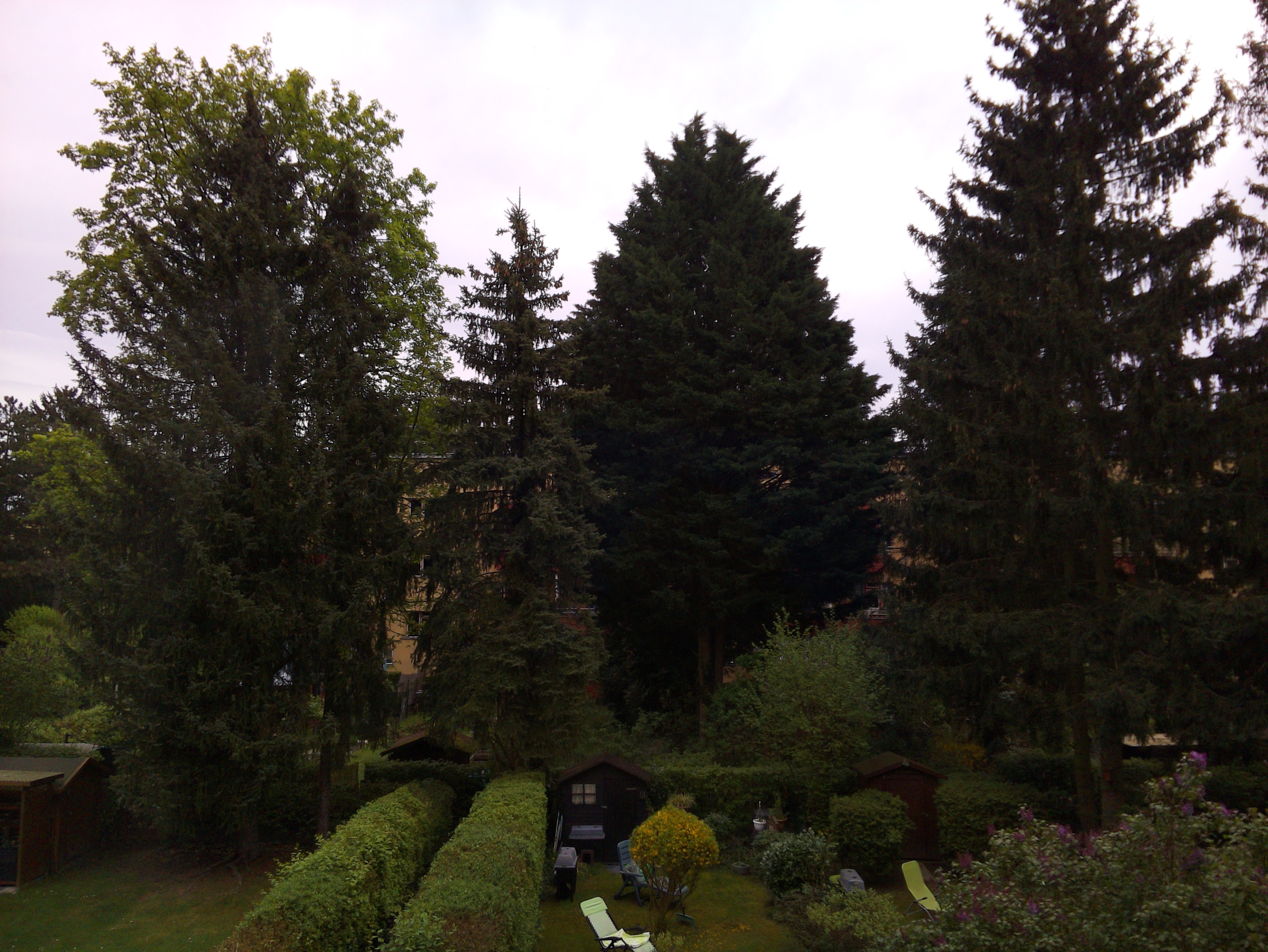 Vorschau vom 21.04.2025