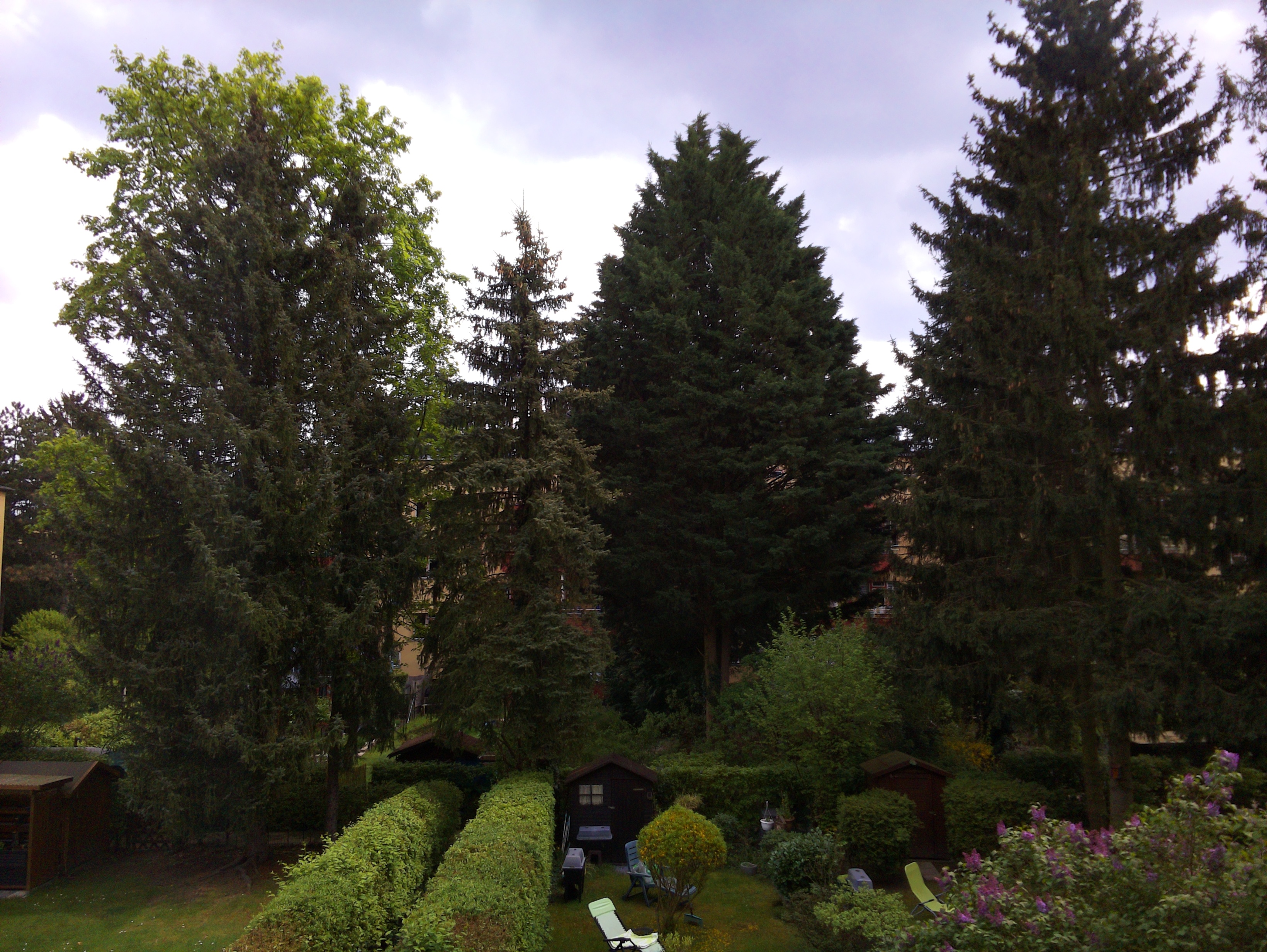 Vorschau vom 23.04.2025