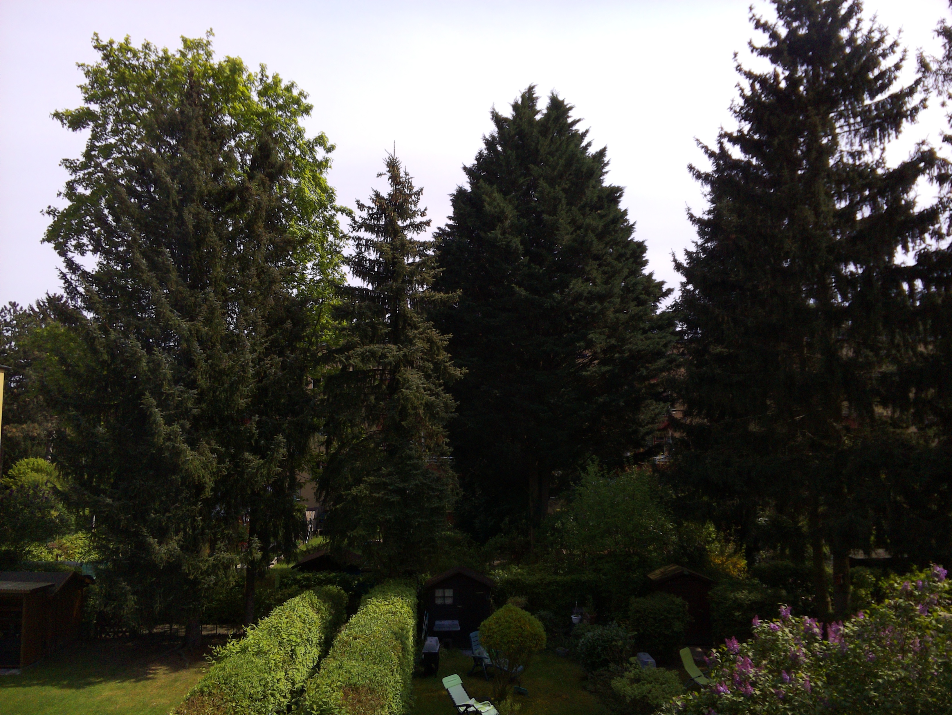 Vorschau vom 24.04.2025