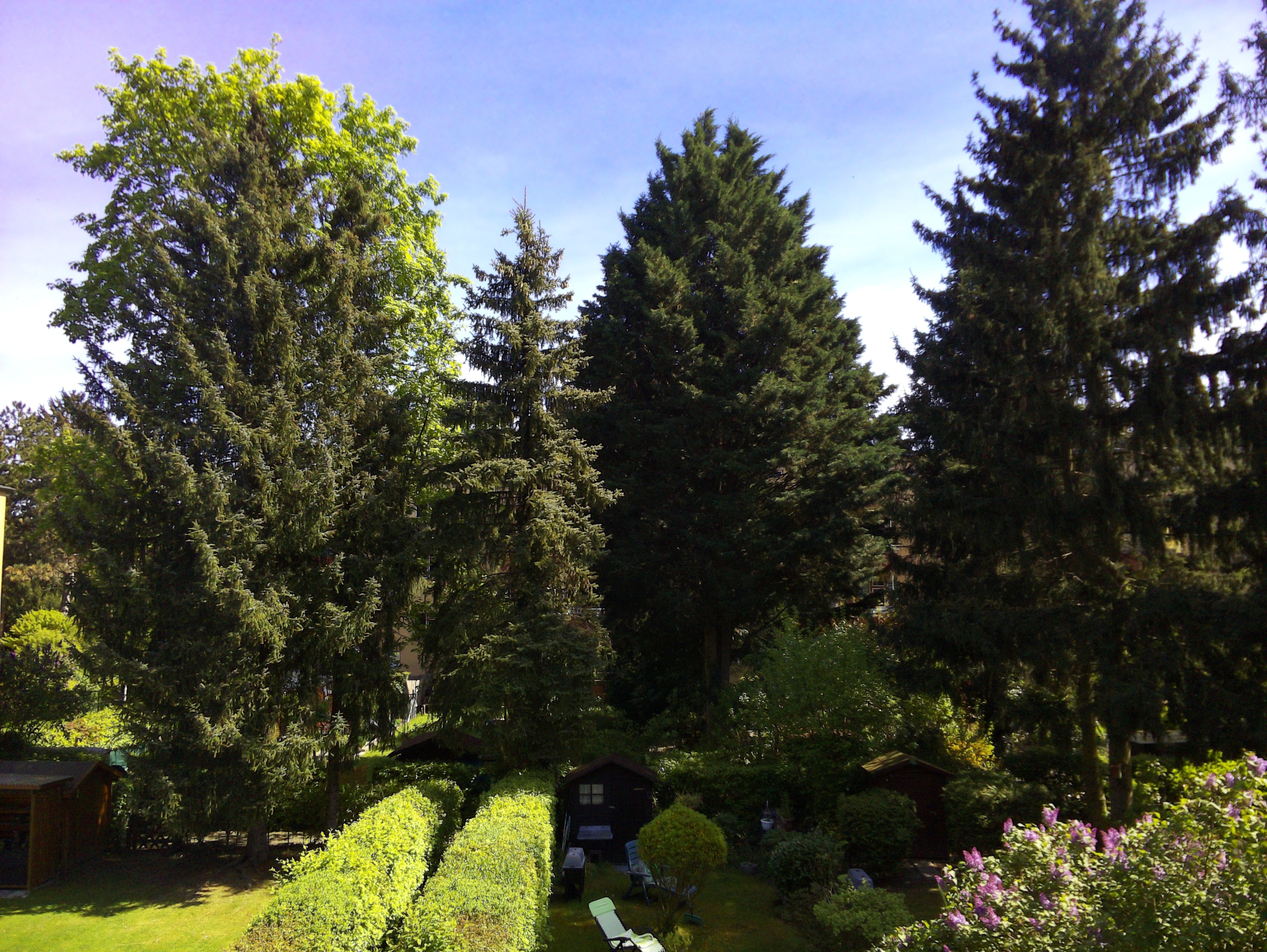 Vorschau vom 25.04.2025