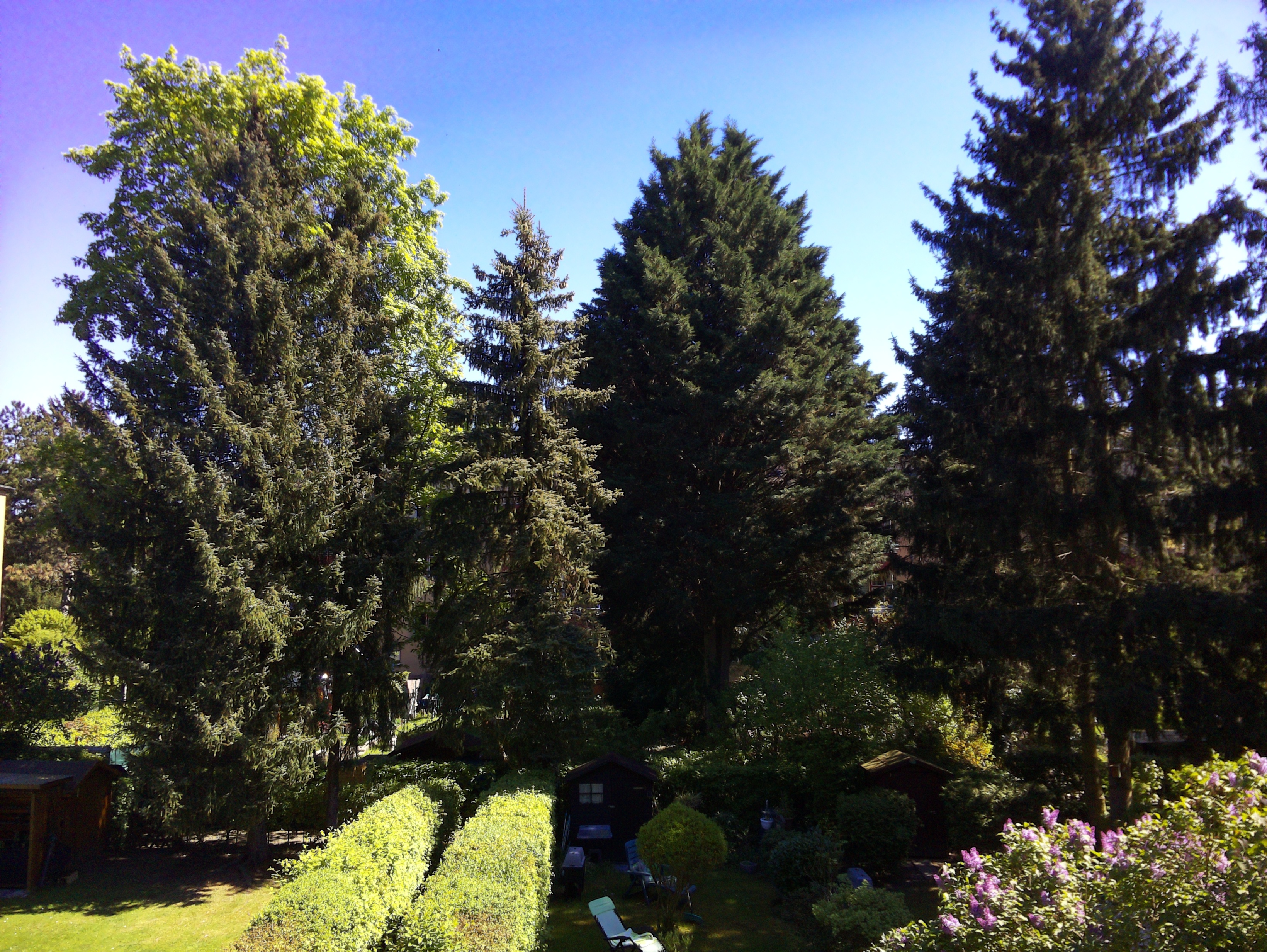 Vorschau vom 26.04.2025