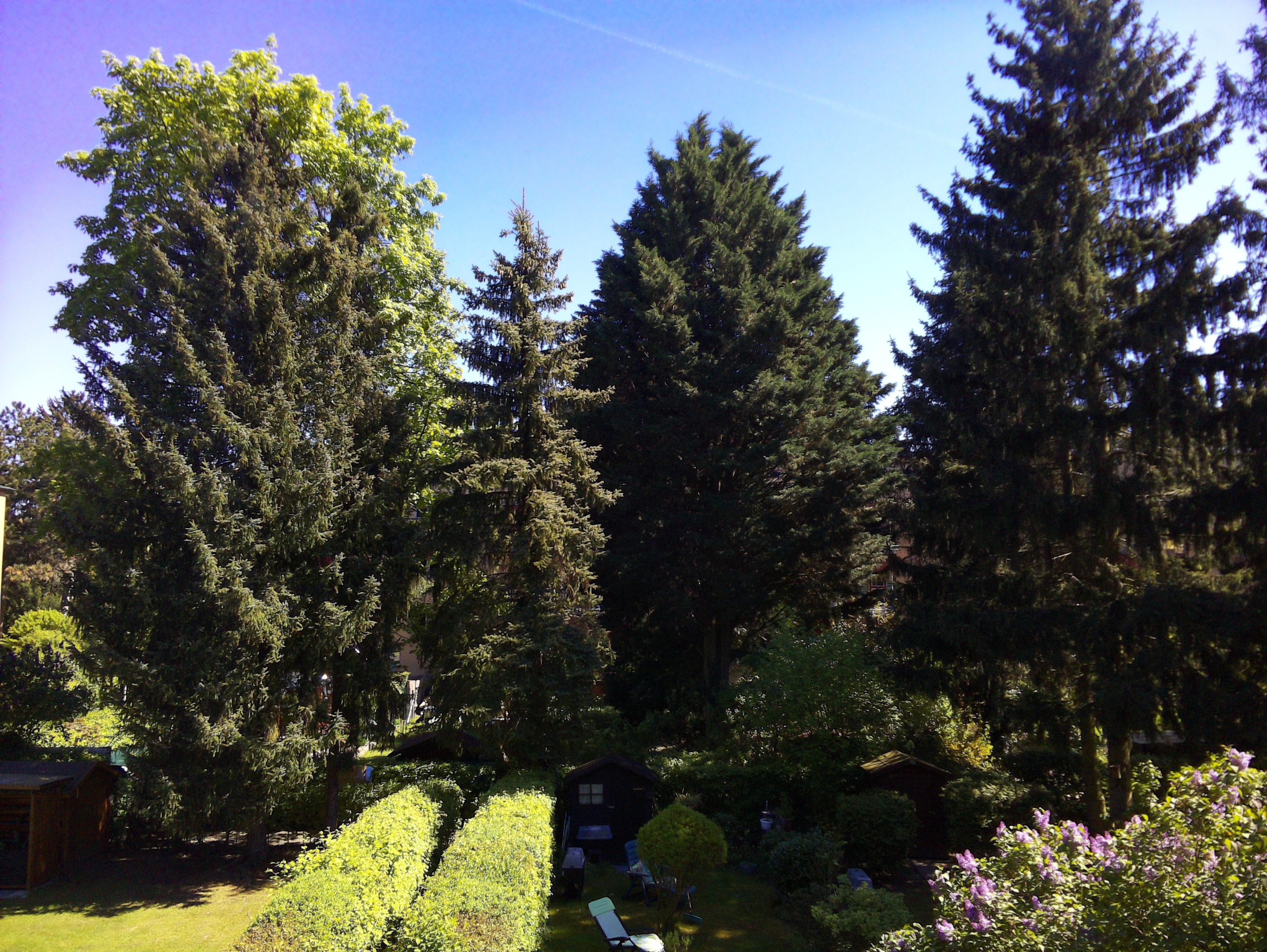 Vorschau vom 27.04.2025