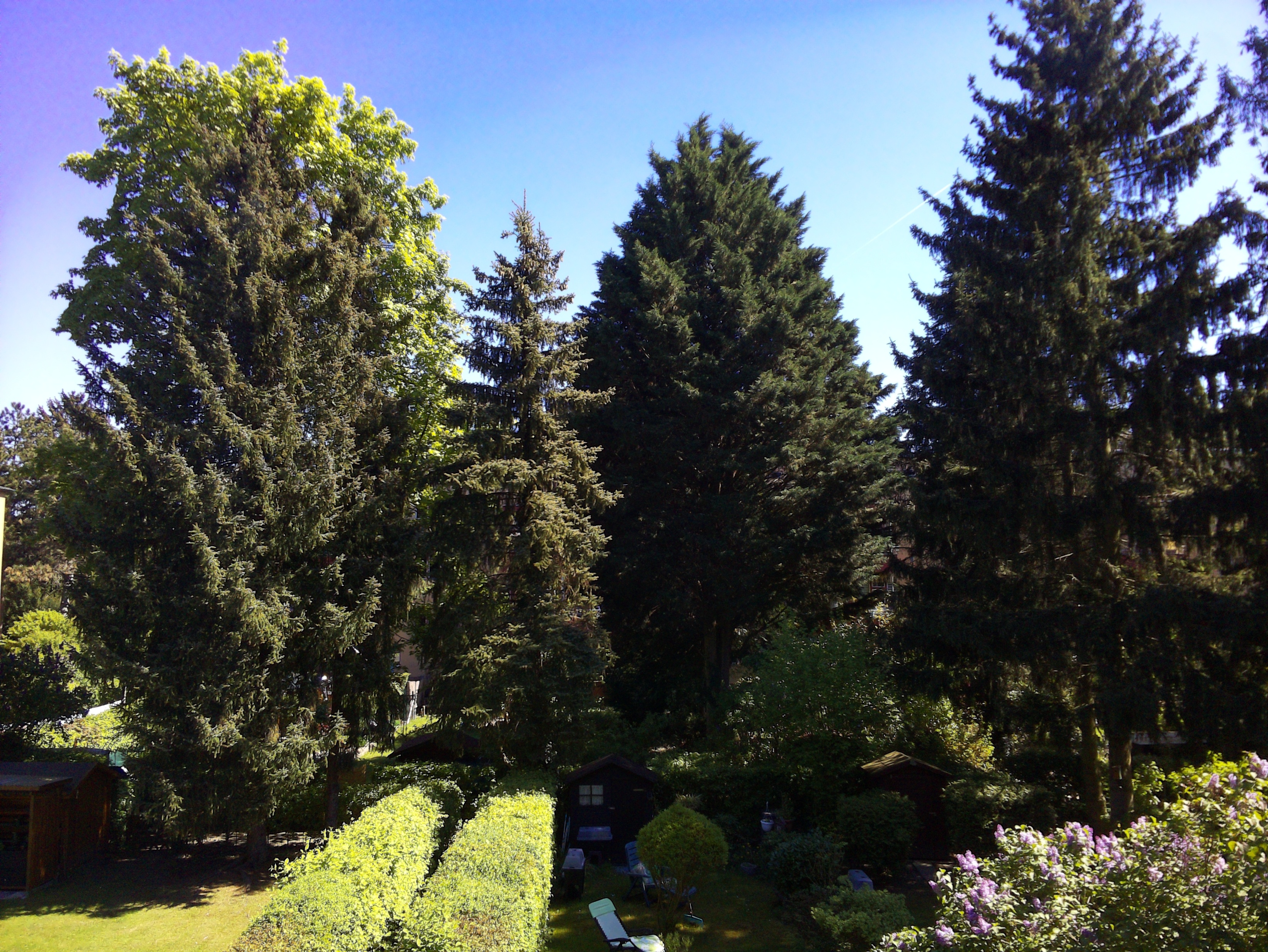 Vorschau vom 28.04.2025