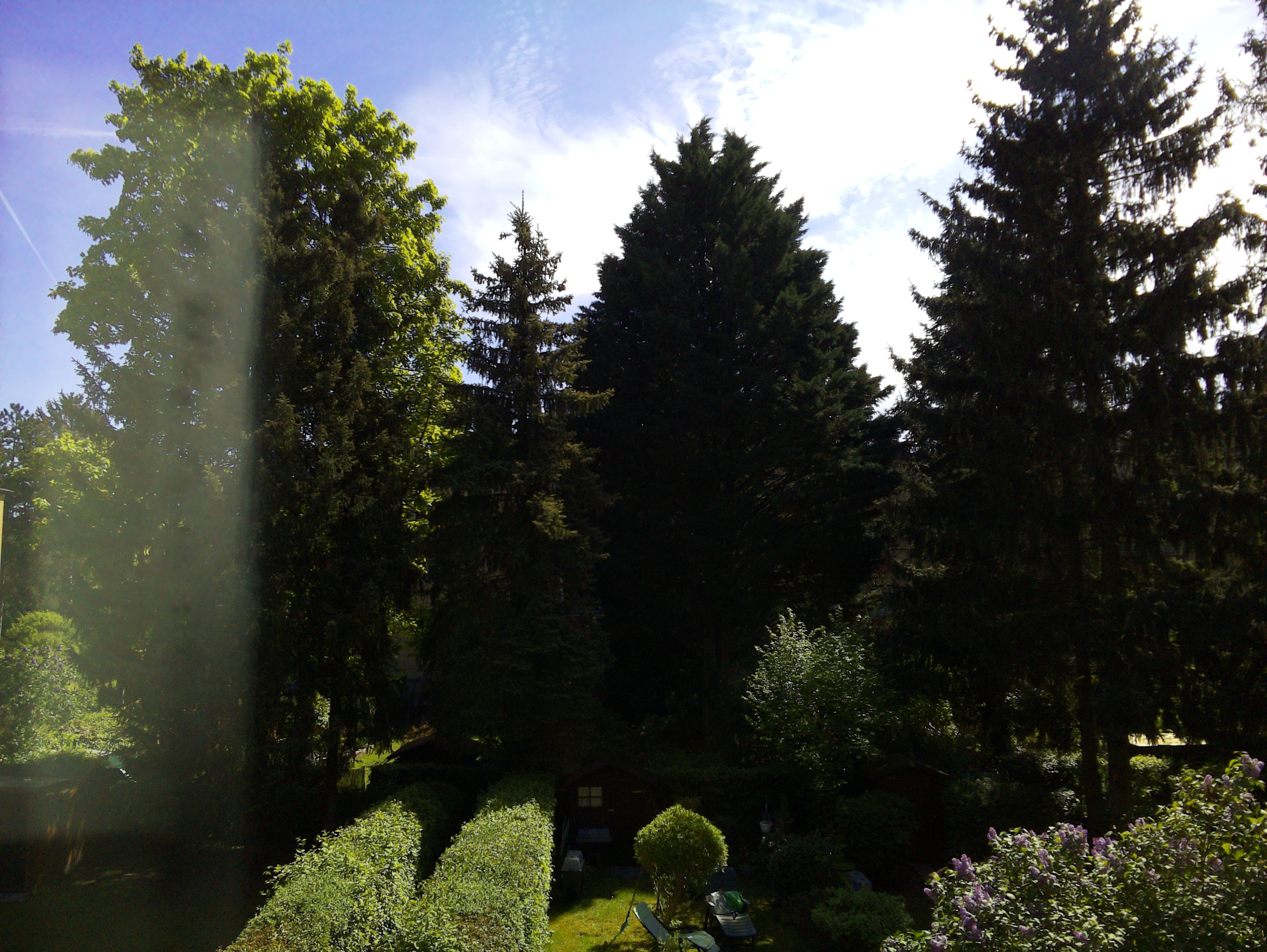 Vorschau vom 29.04.2025