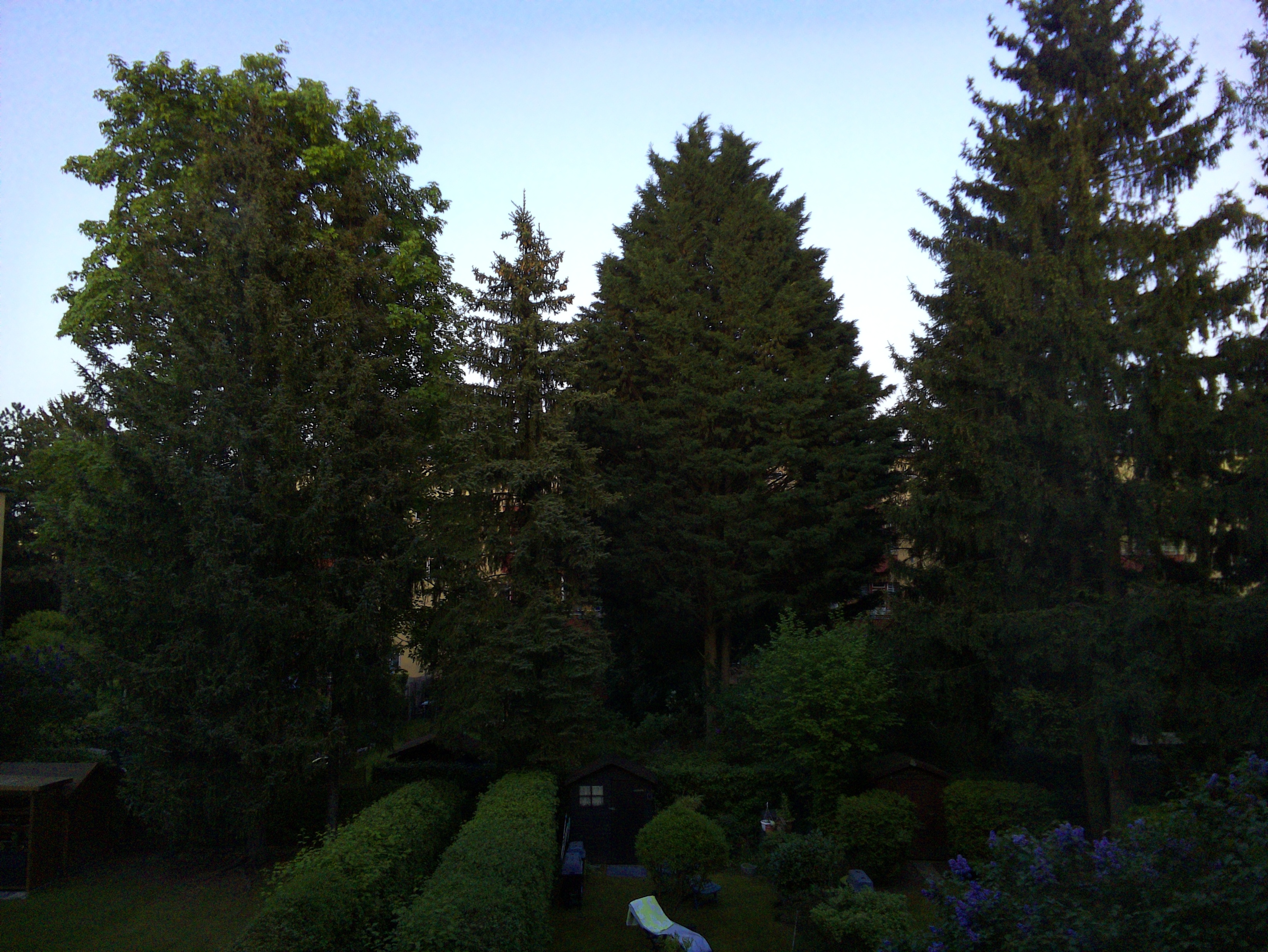 Vorschau vom 30.04.2025