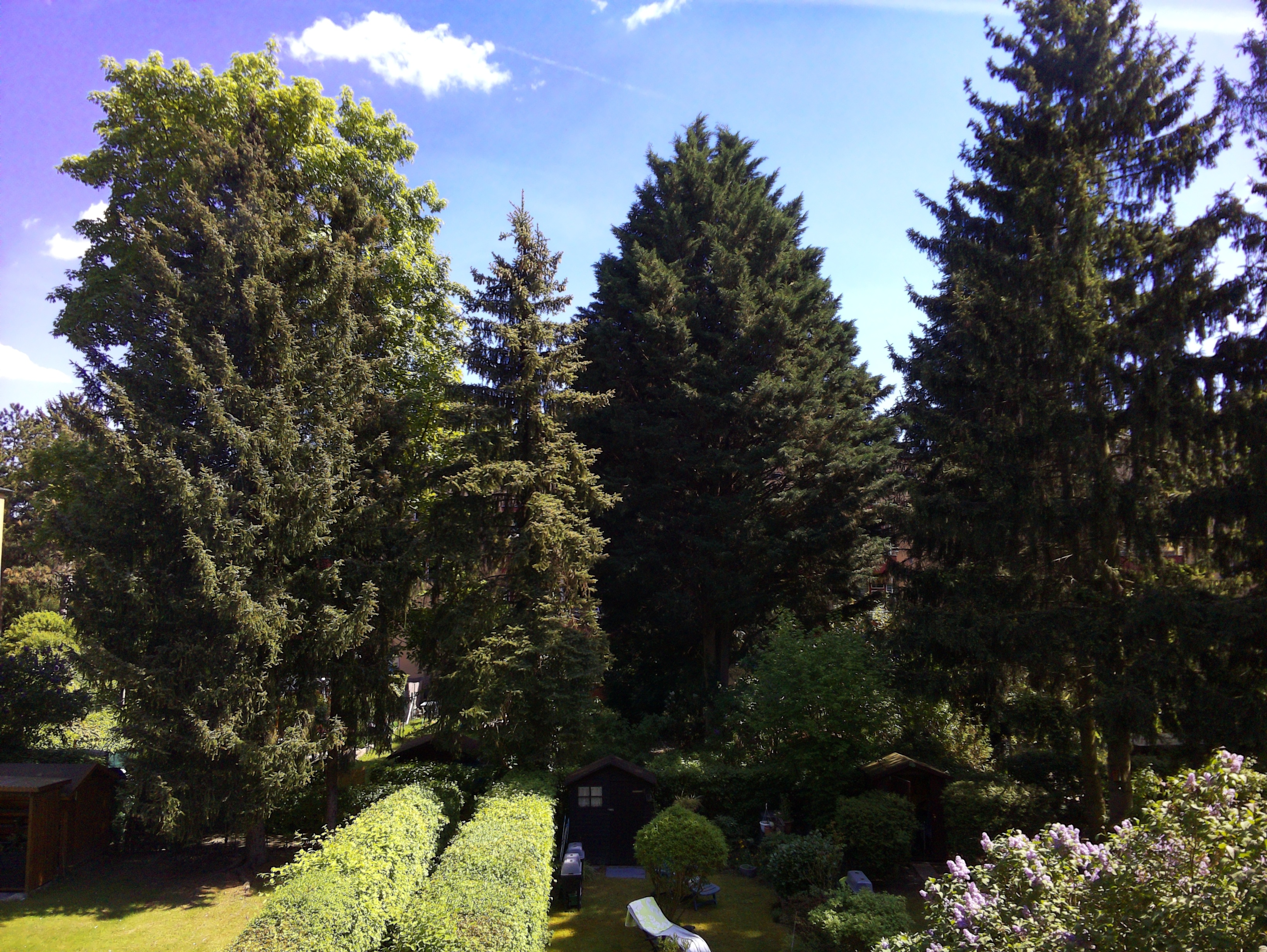 Vorschau vom 01.05.2025