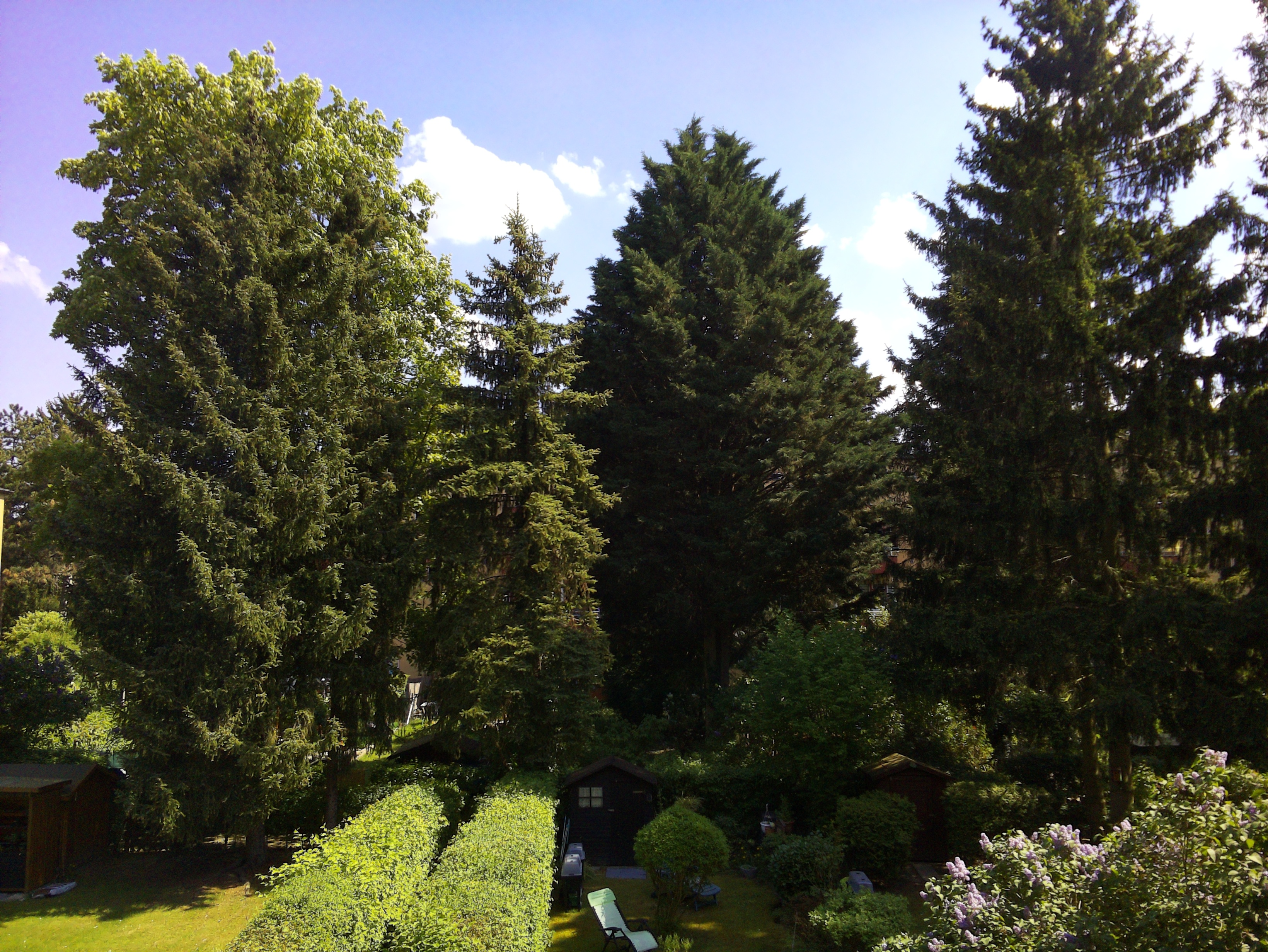 Vorschau vom 02.05.2025