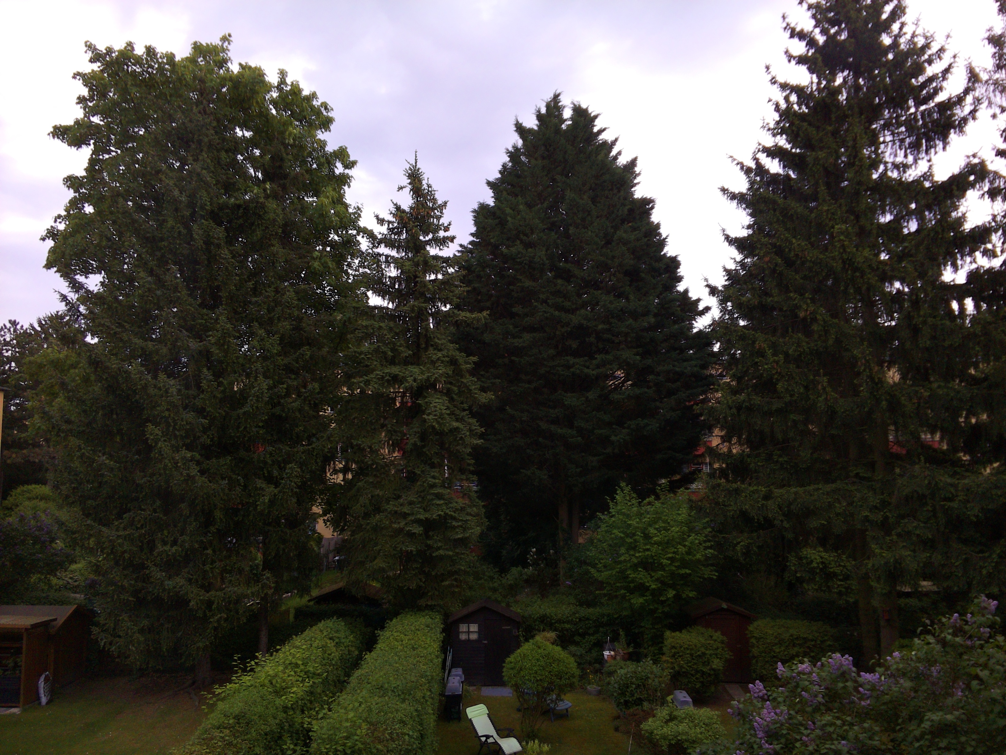 Vorschau vom 03.05.2025