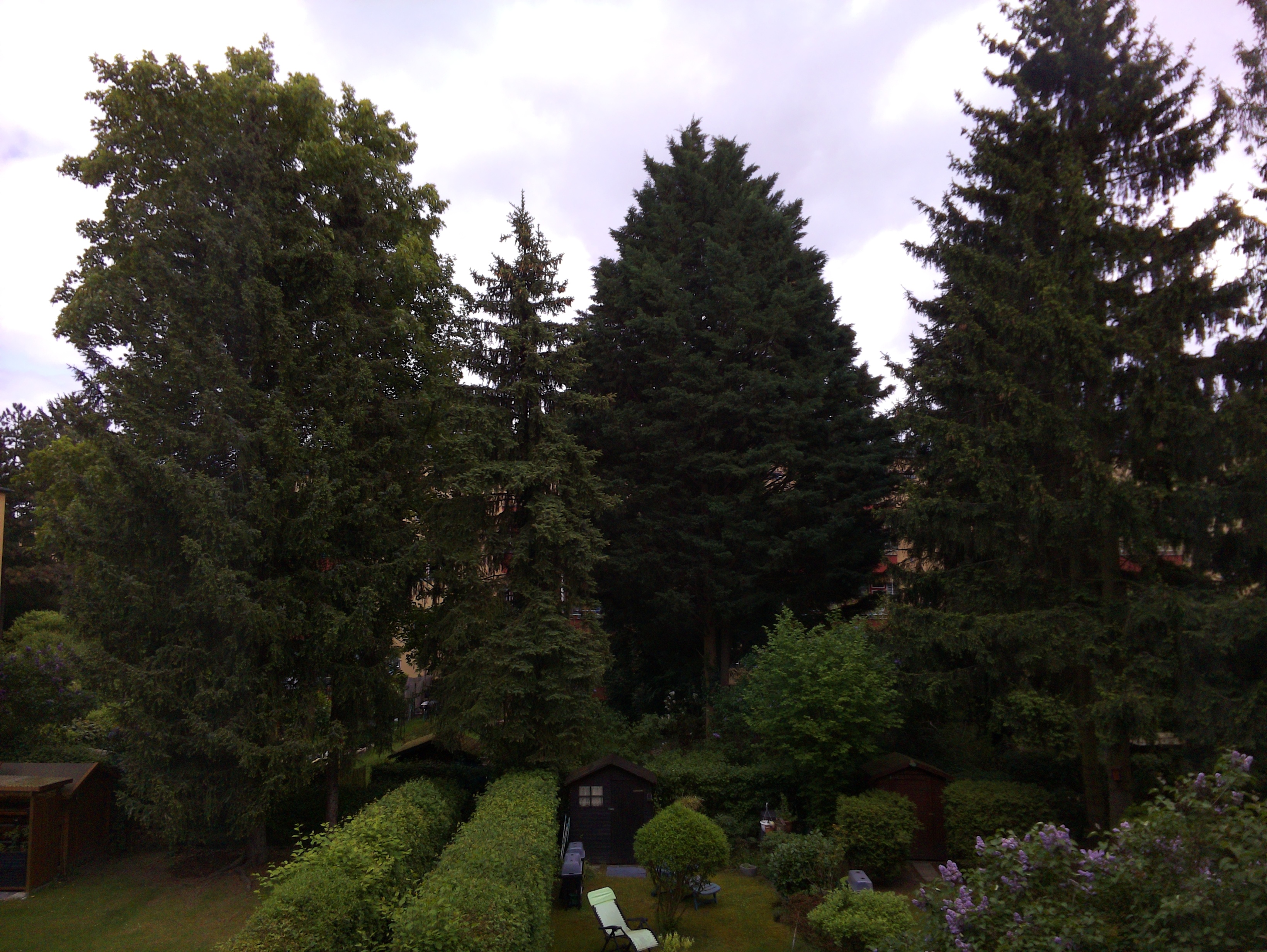 Vorschau vom 04.05.2025