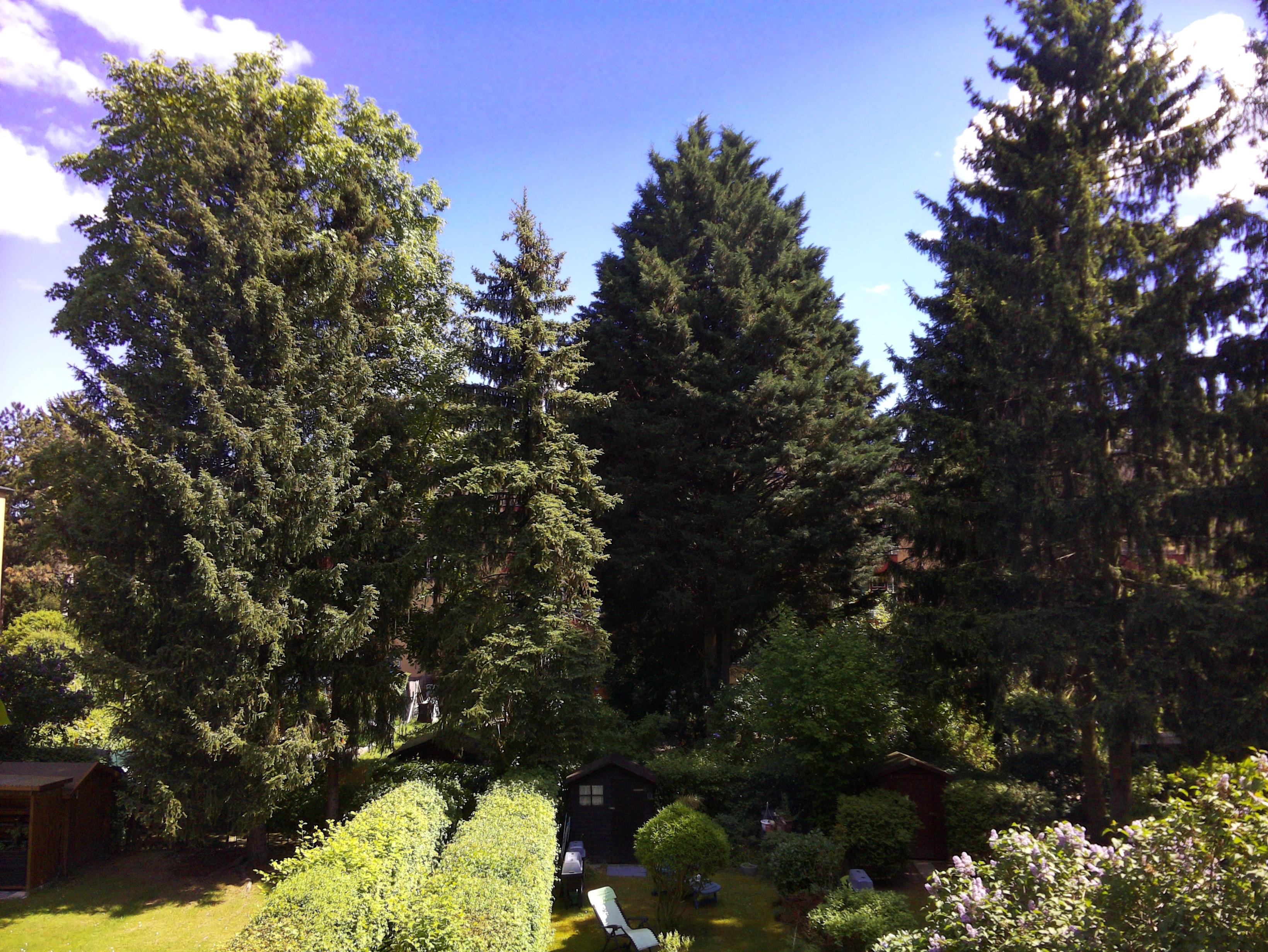 Vorschau vom 05.05.2025