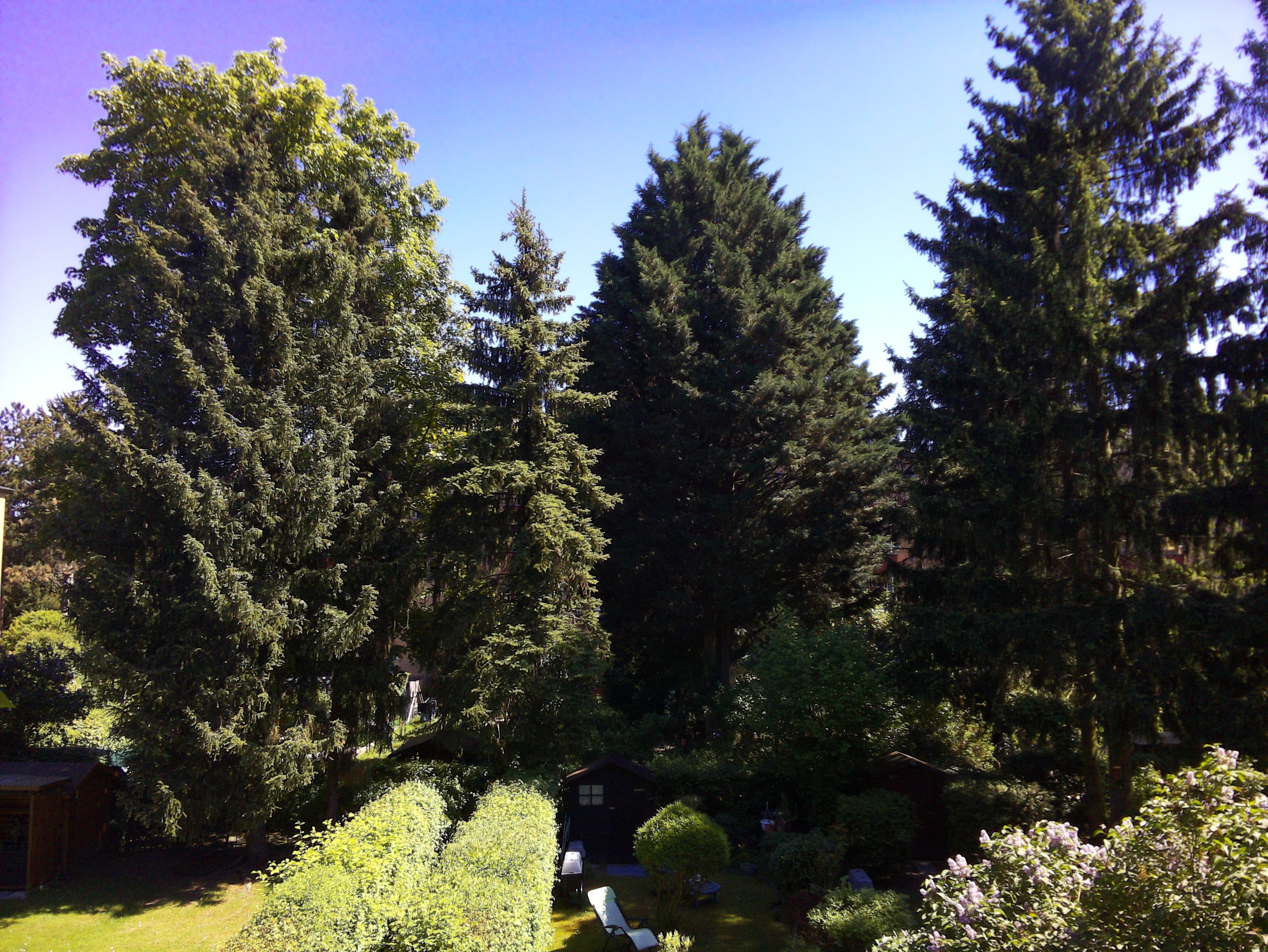 Vorschau vom 06.05.2025