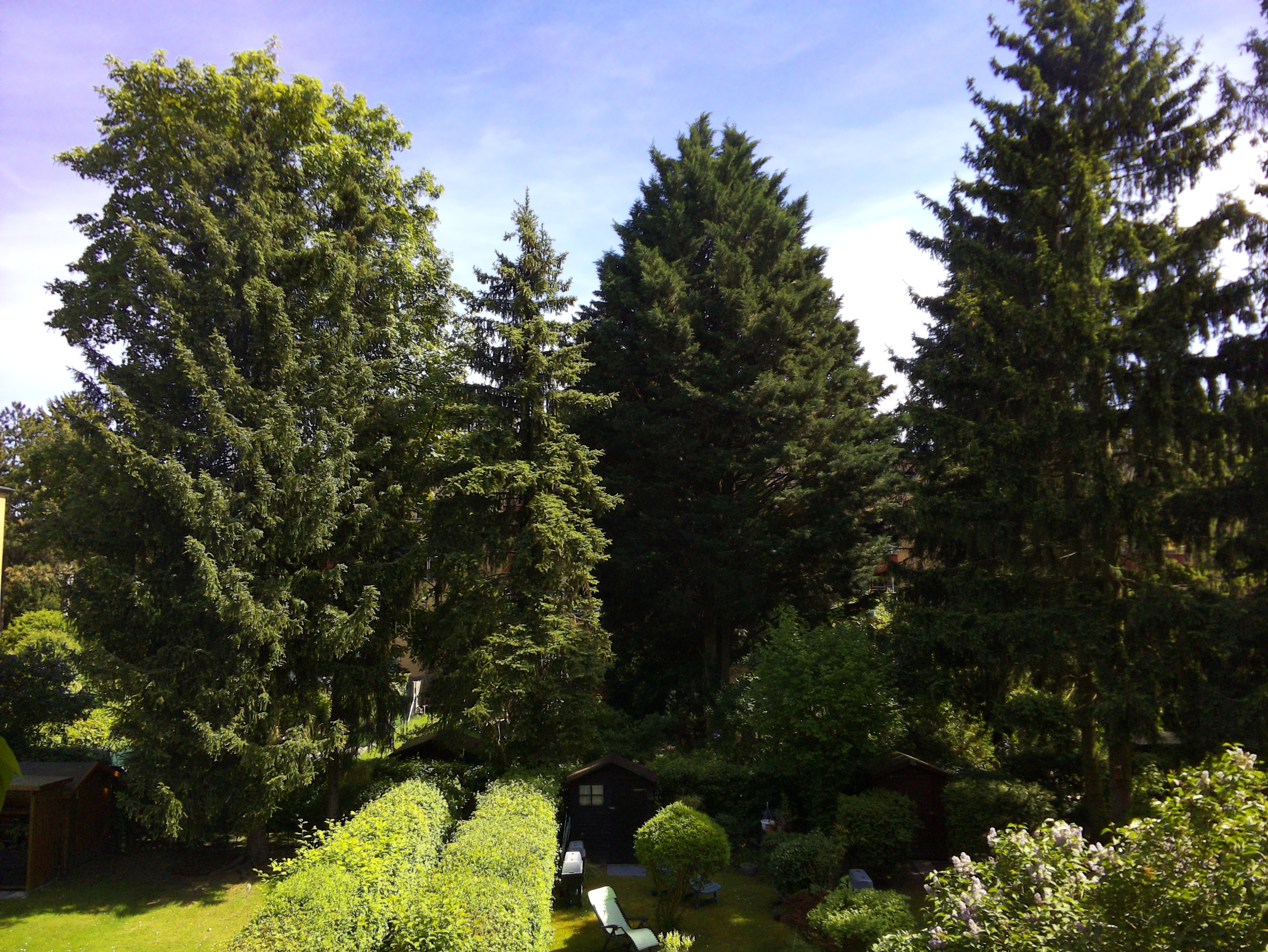 Vorschau vom 07.05.2025