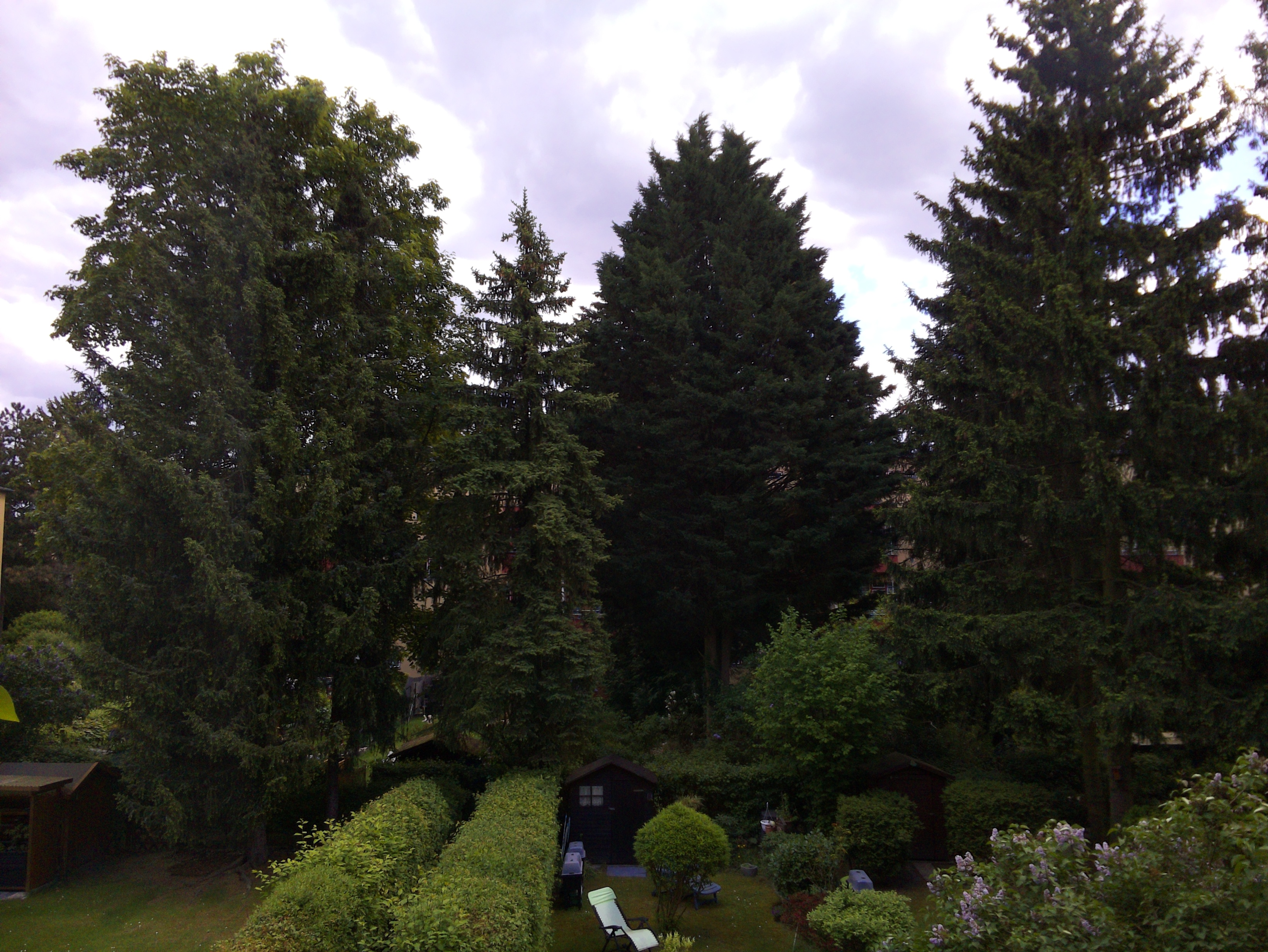 Vorschau vom 08.05.2025