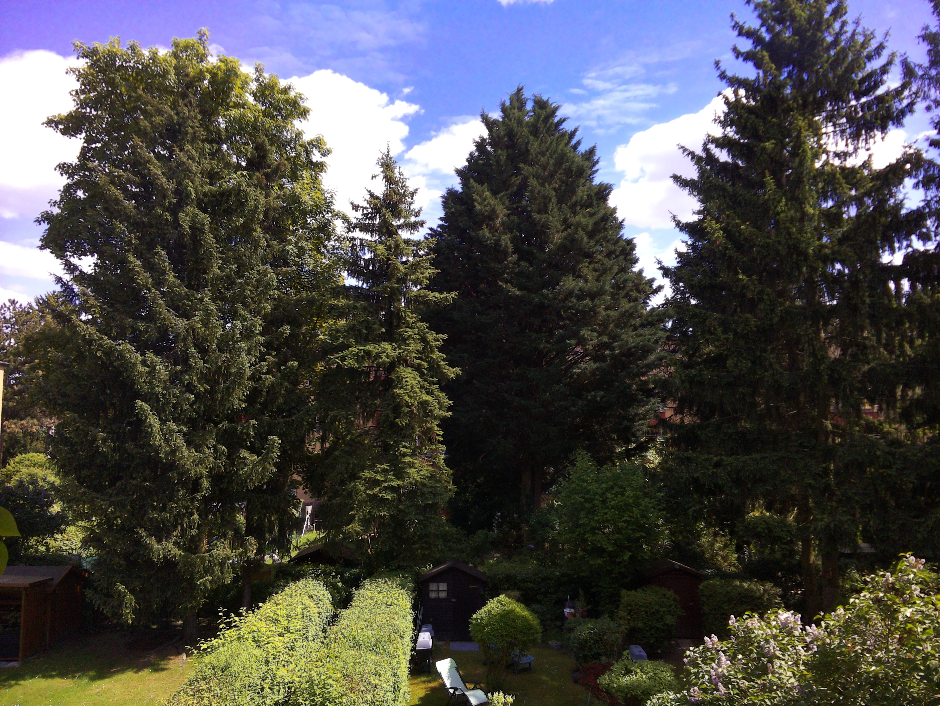 Vorschau vom 09.05.2025