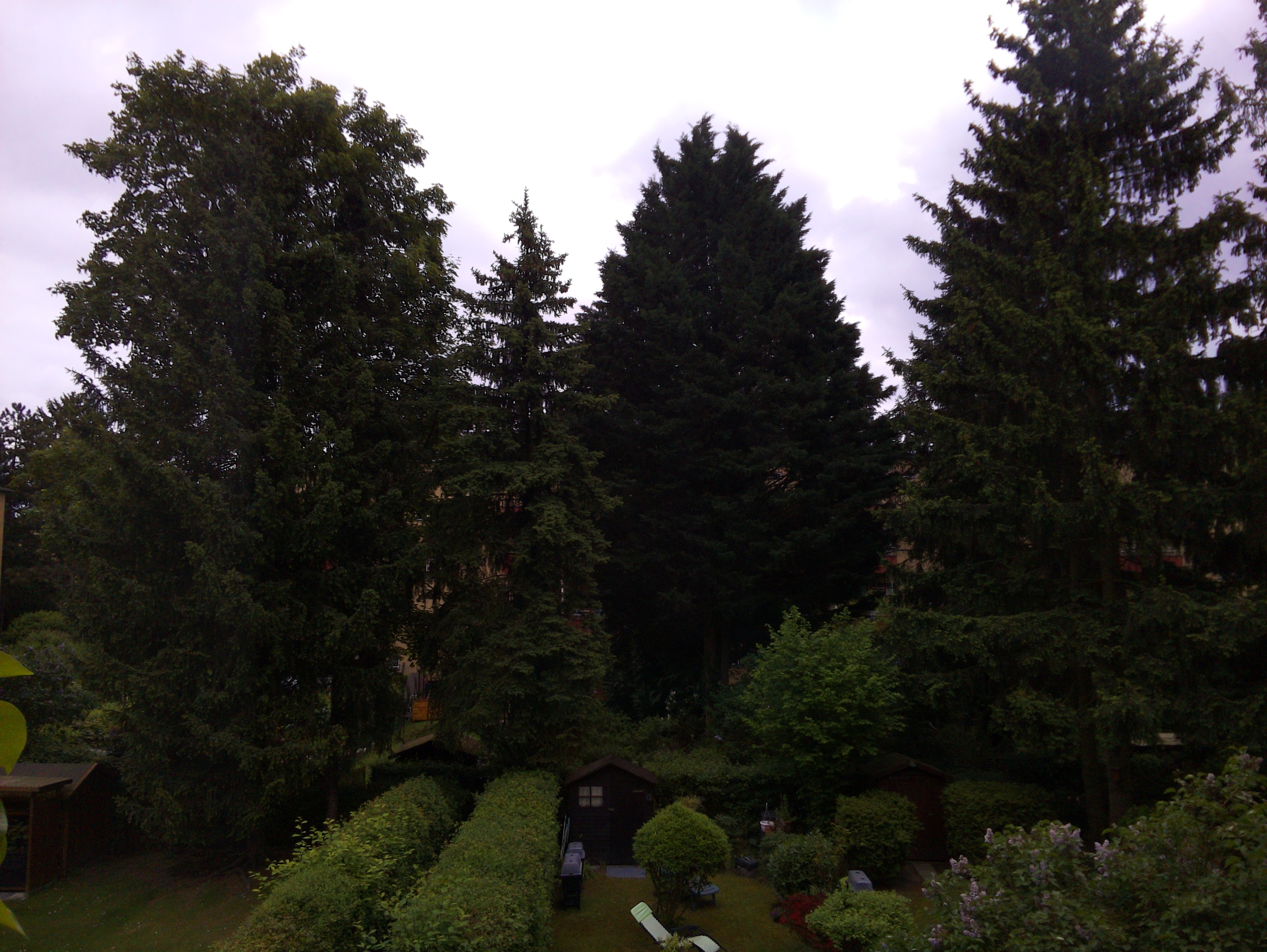 Vorschau vom 10.05.2025