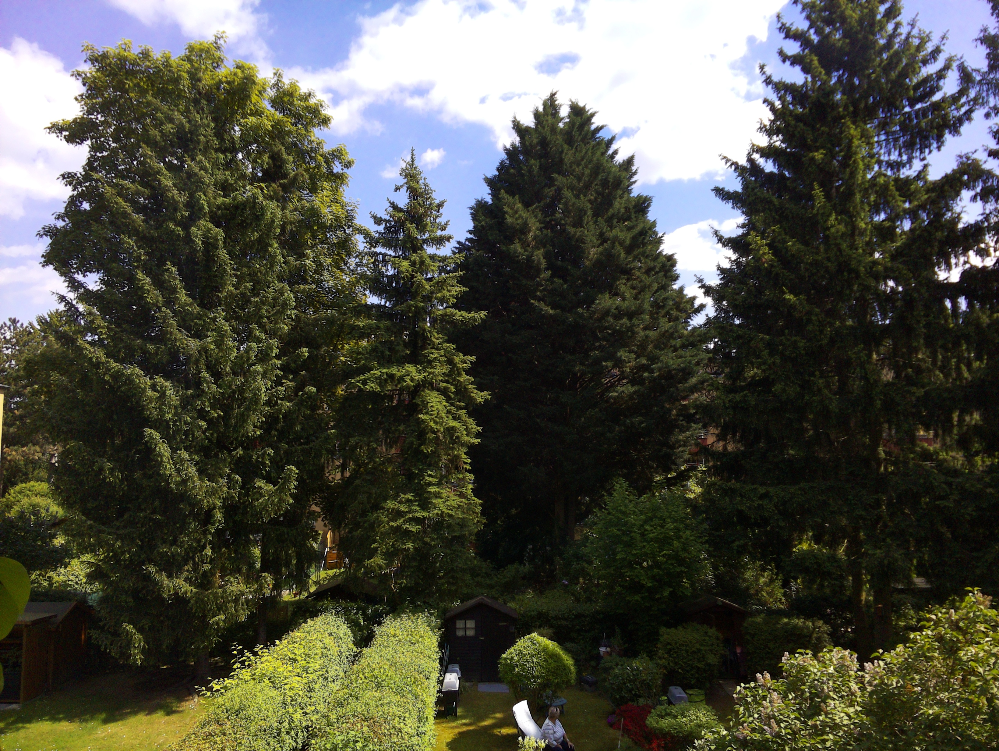 Vorschau vom 12.05.2025