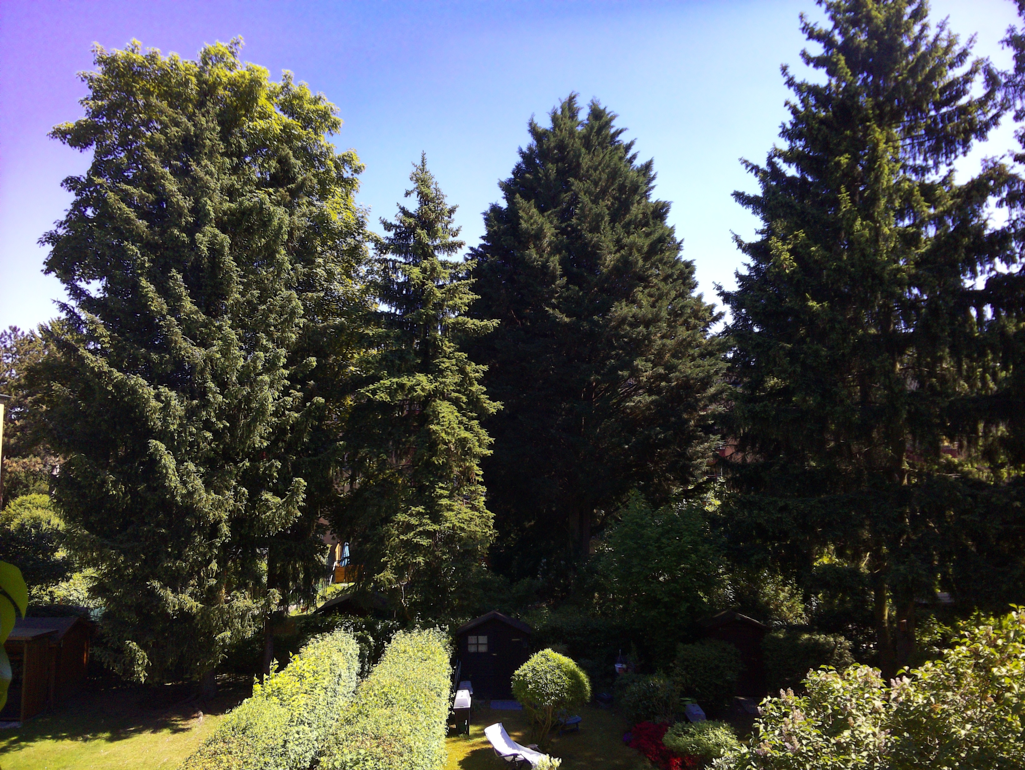 Vorschau vom 13.05.2025