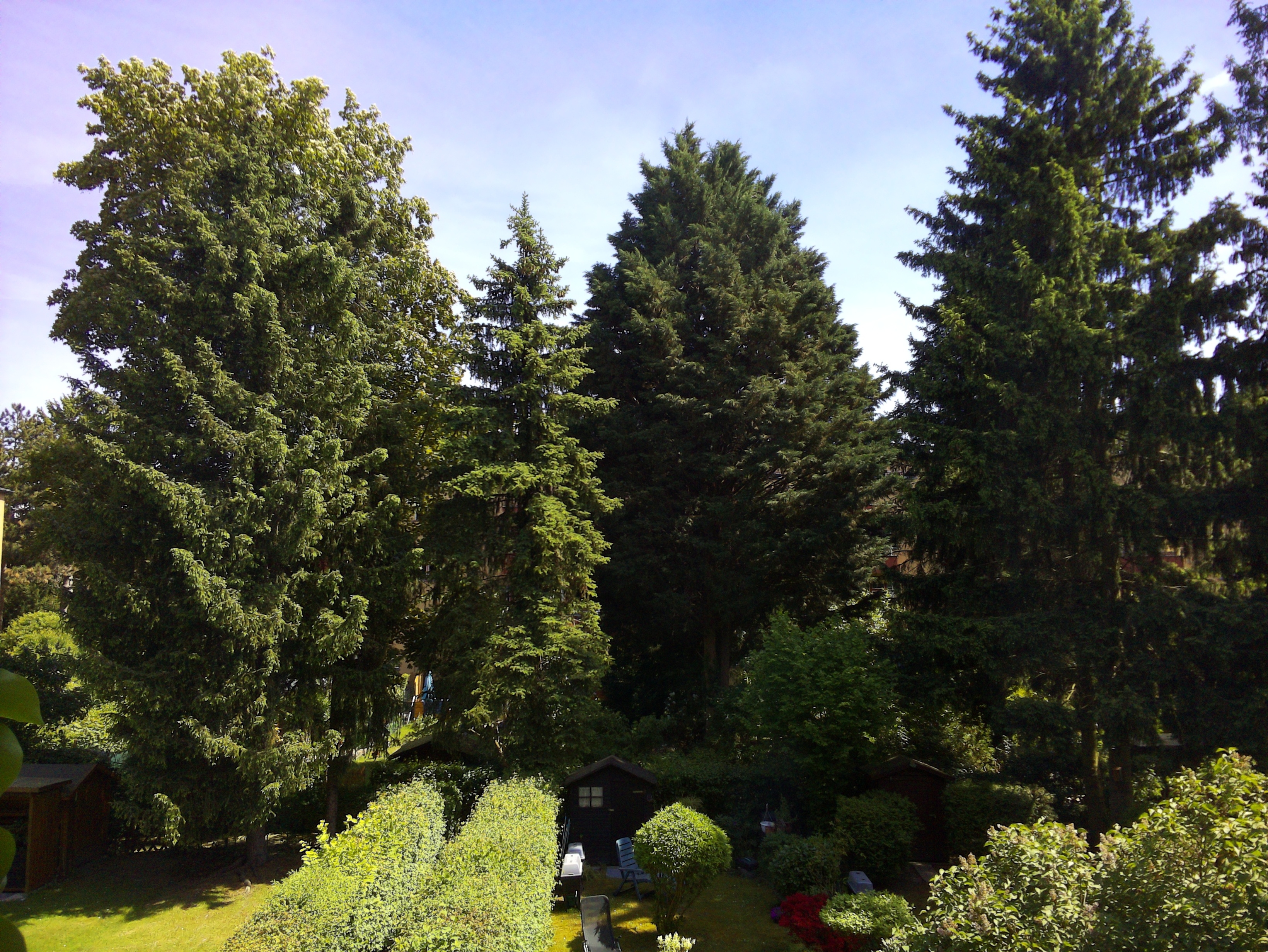 Vorschau vom 14.05.2025