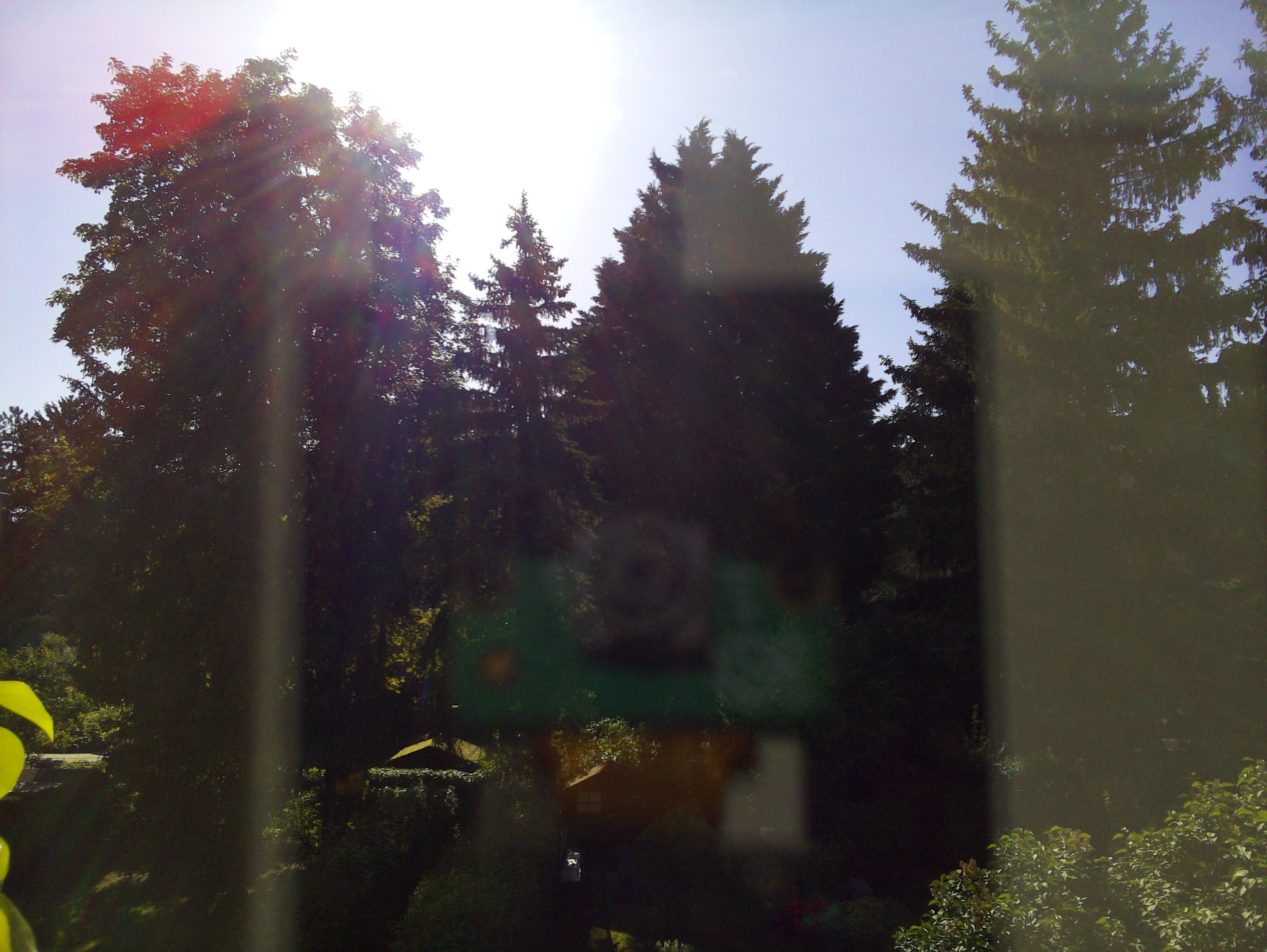 Vorschau vom 15.05.2025