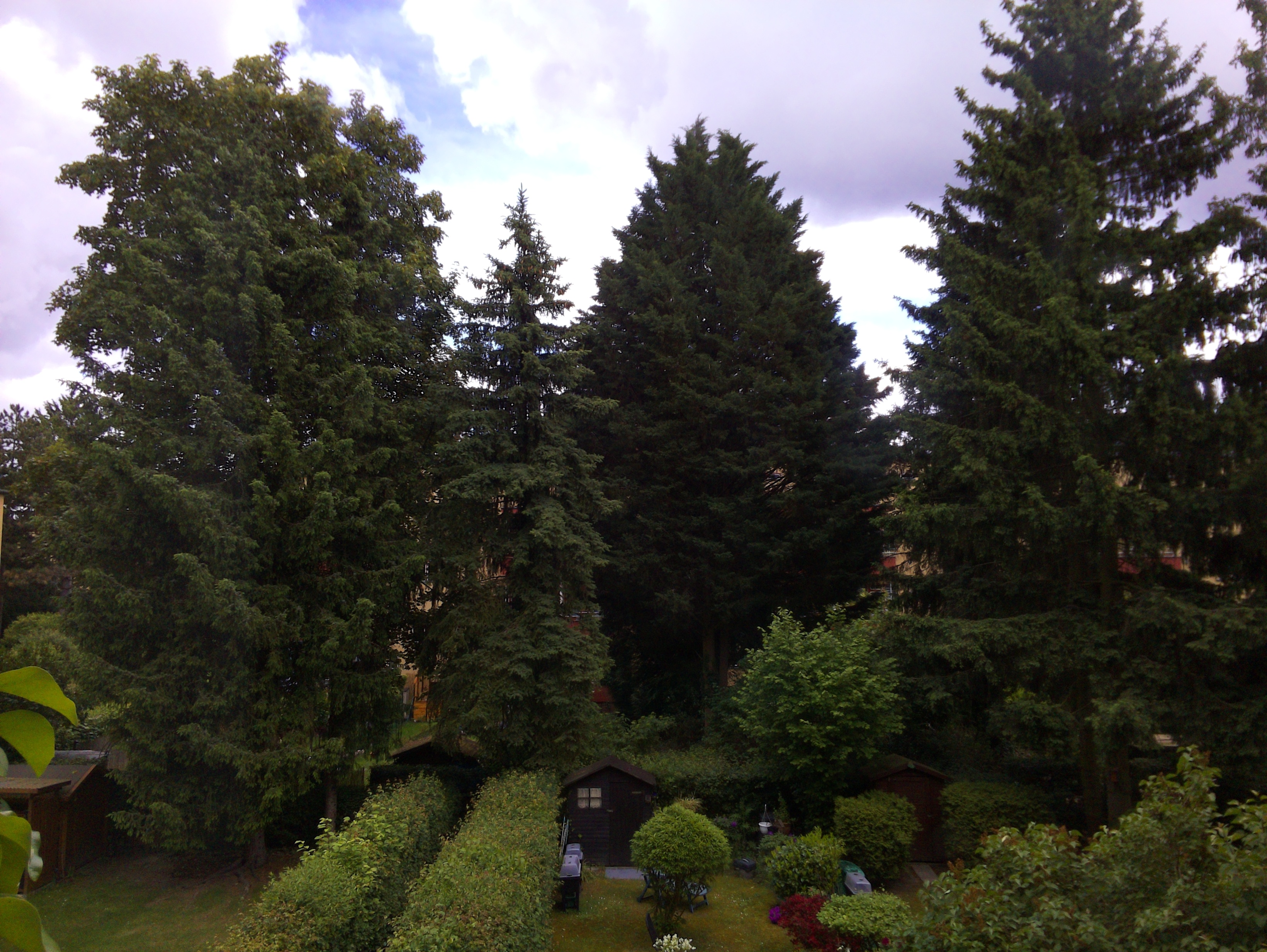 Vorschau vom 23.05.2025