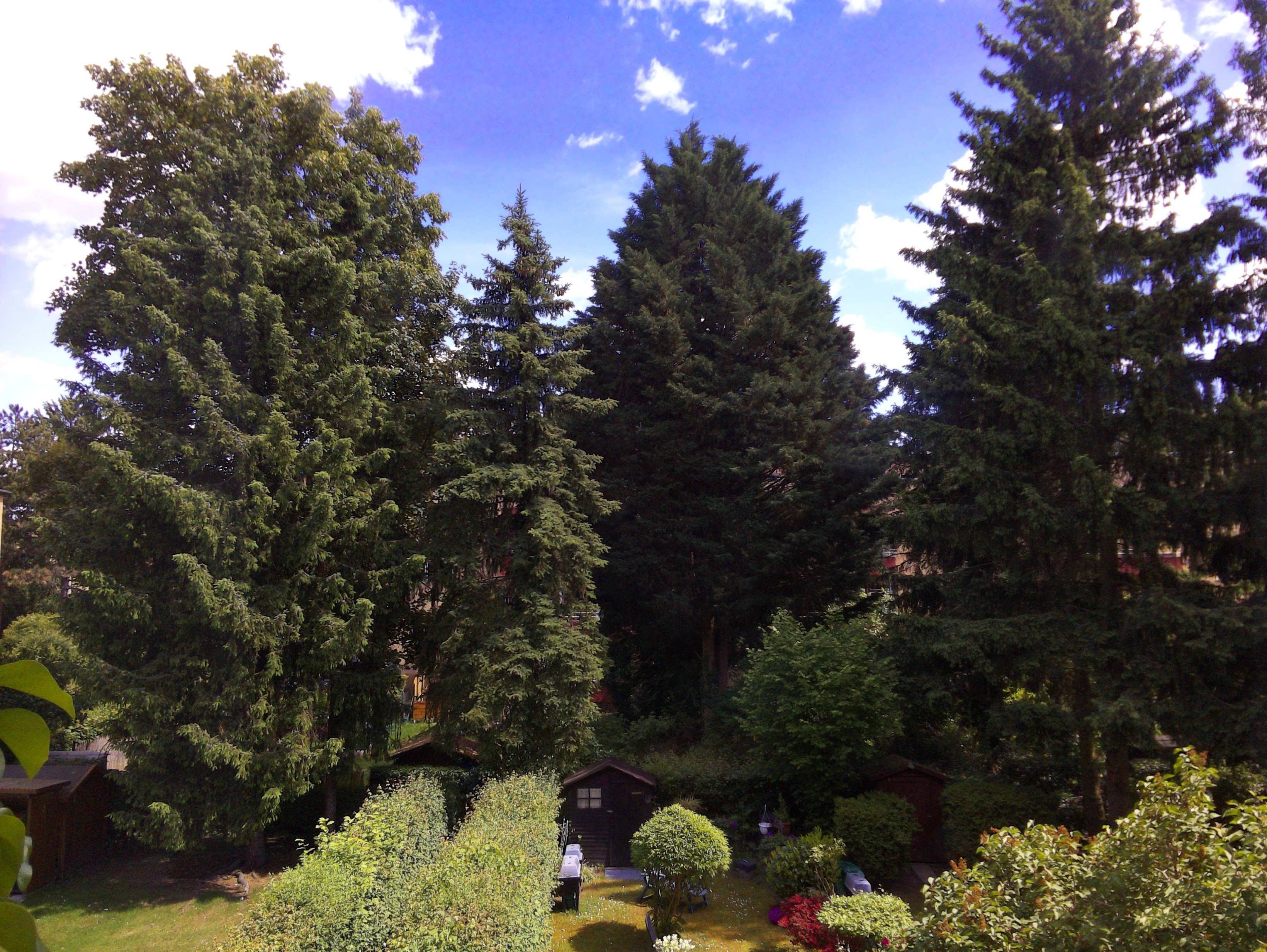 Vorschau vom 24.05.2025