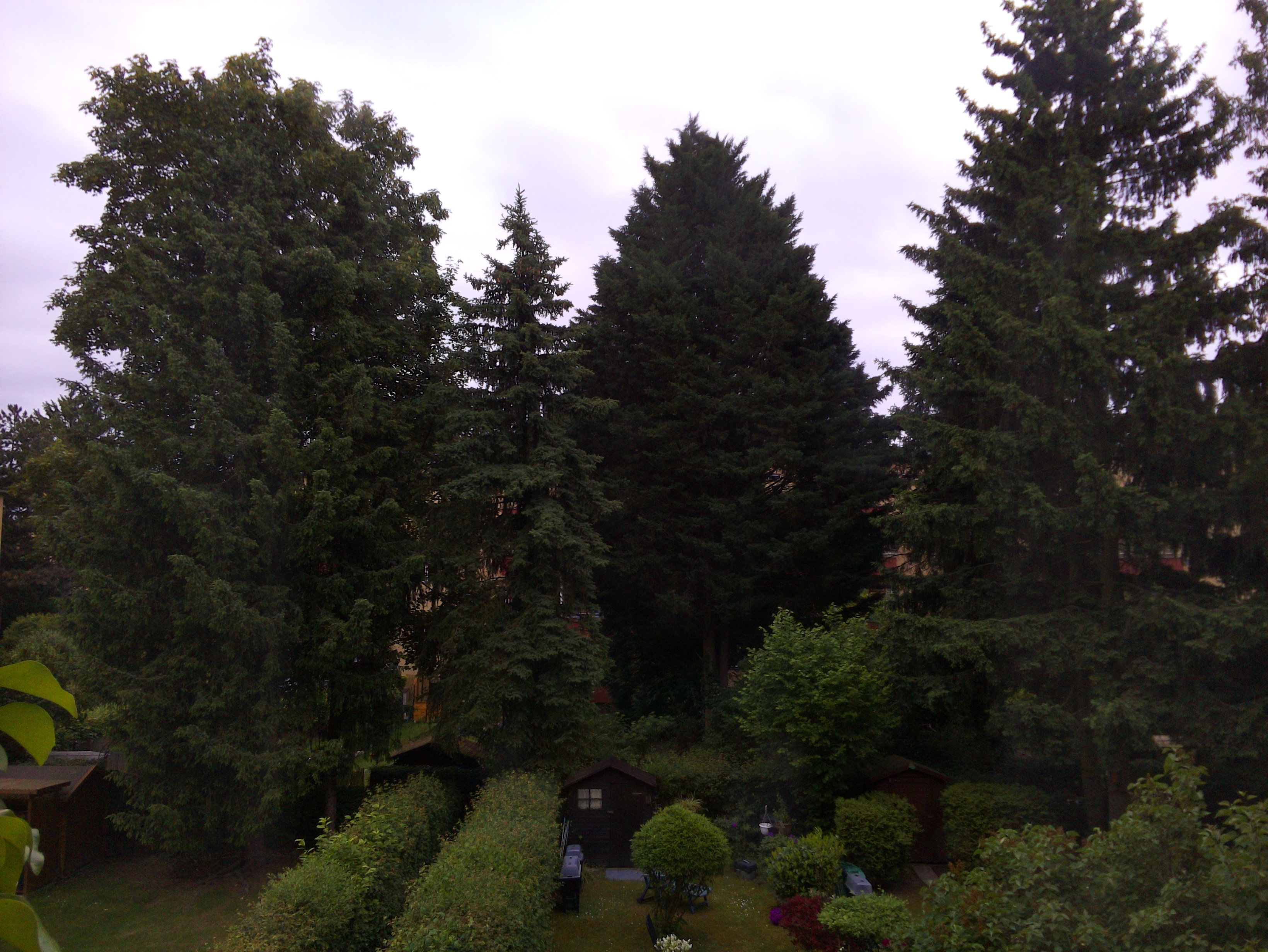 Vorschau vom 25.05.2025