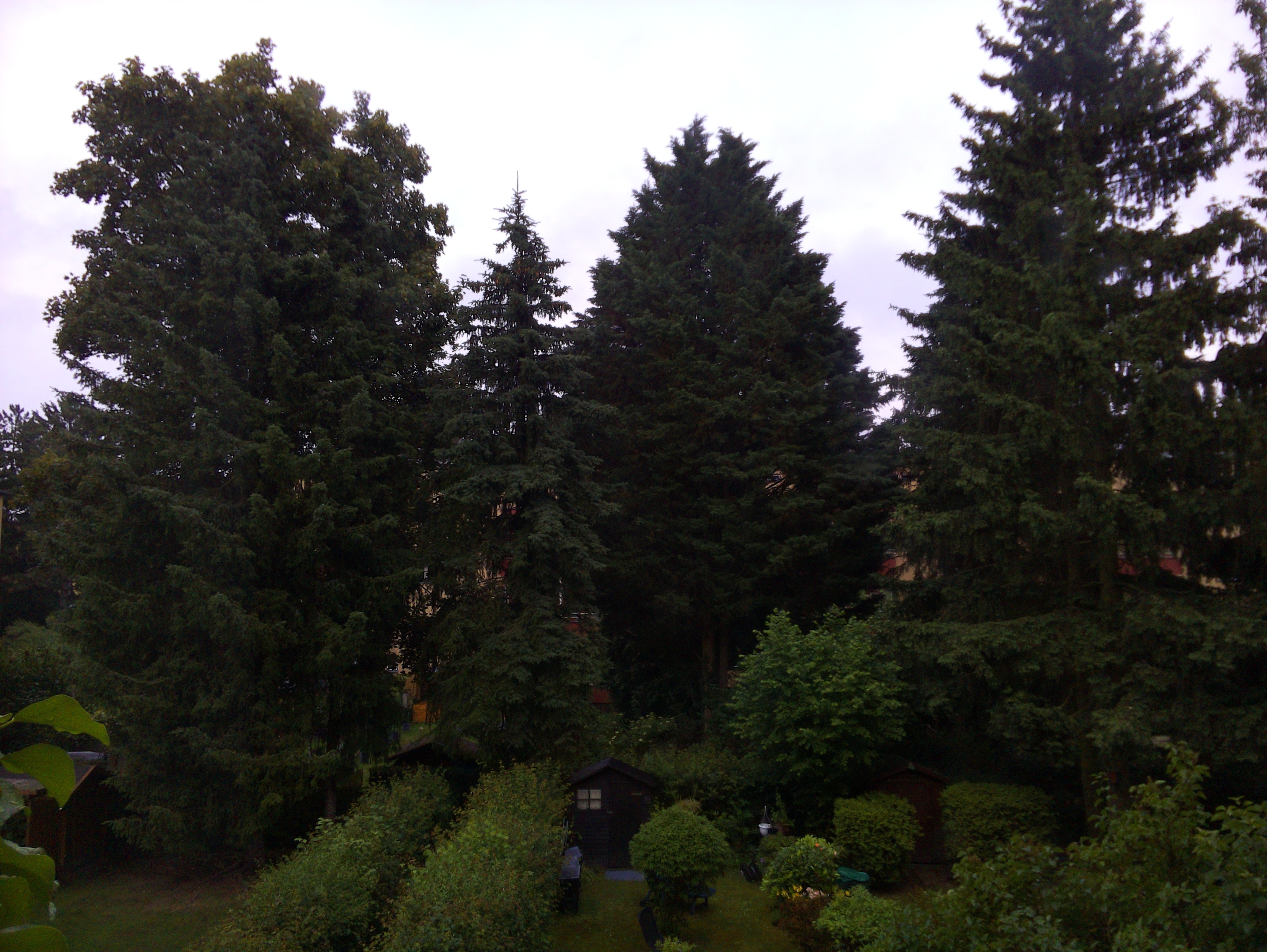 Vorschau vom 10.06.2025