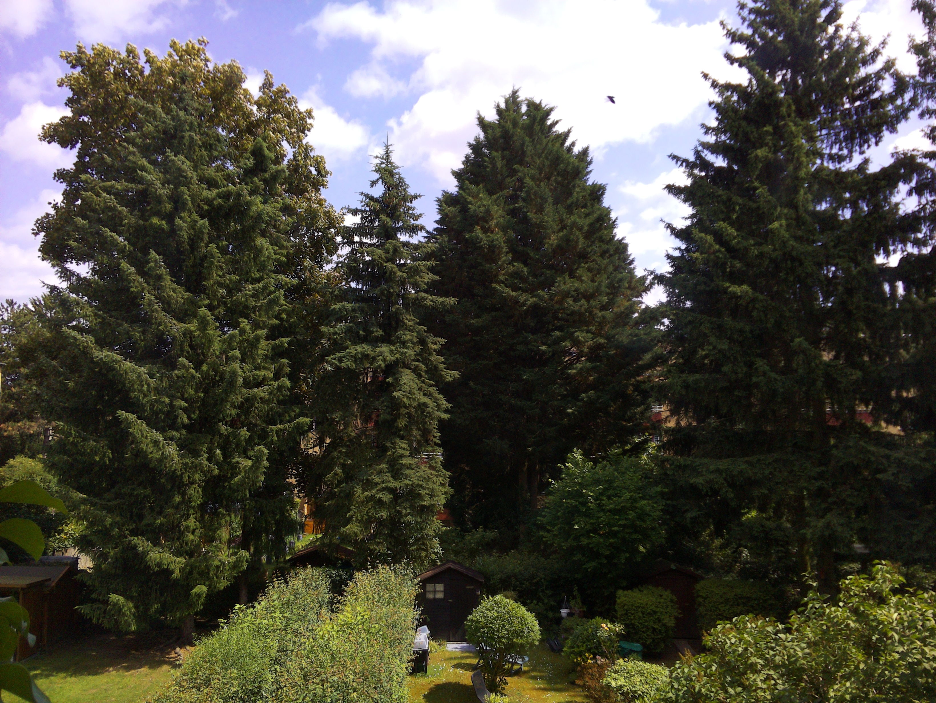 Vorschau vom 11.06.2025