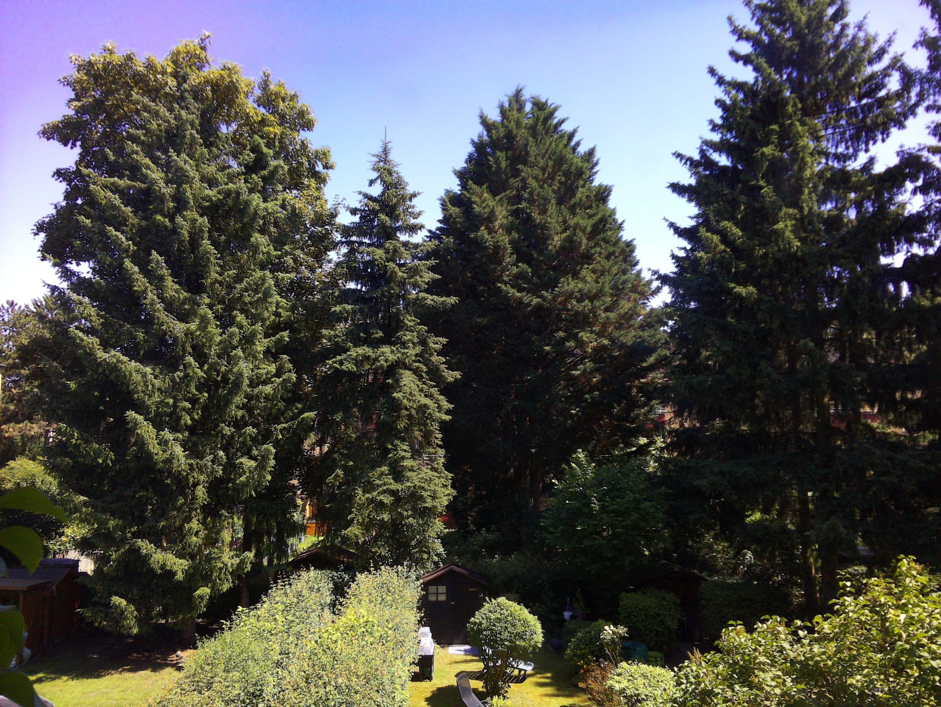 Vorschau vom 12.06.2025