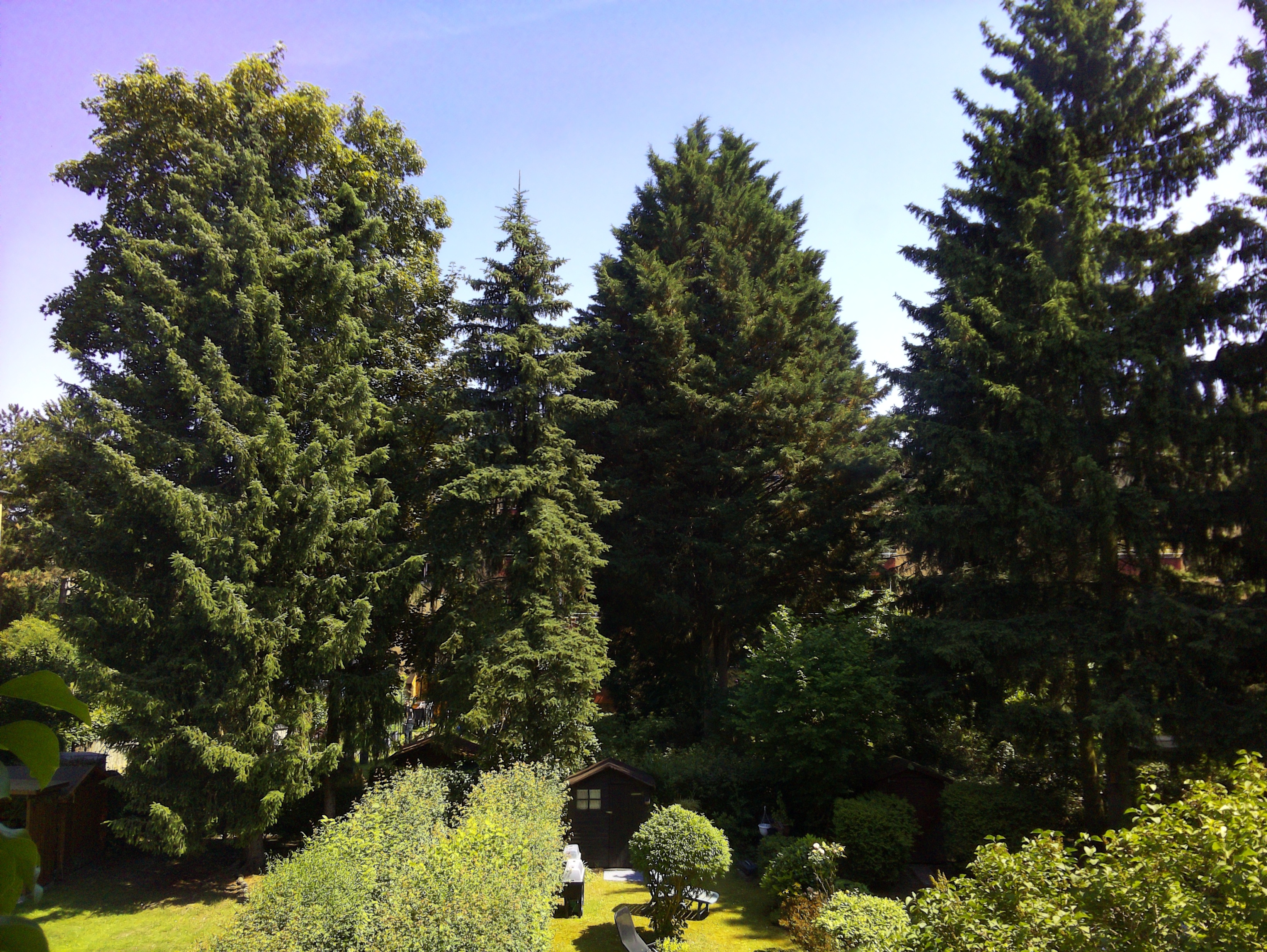 Vorschau vom 13.06.2025