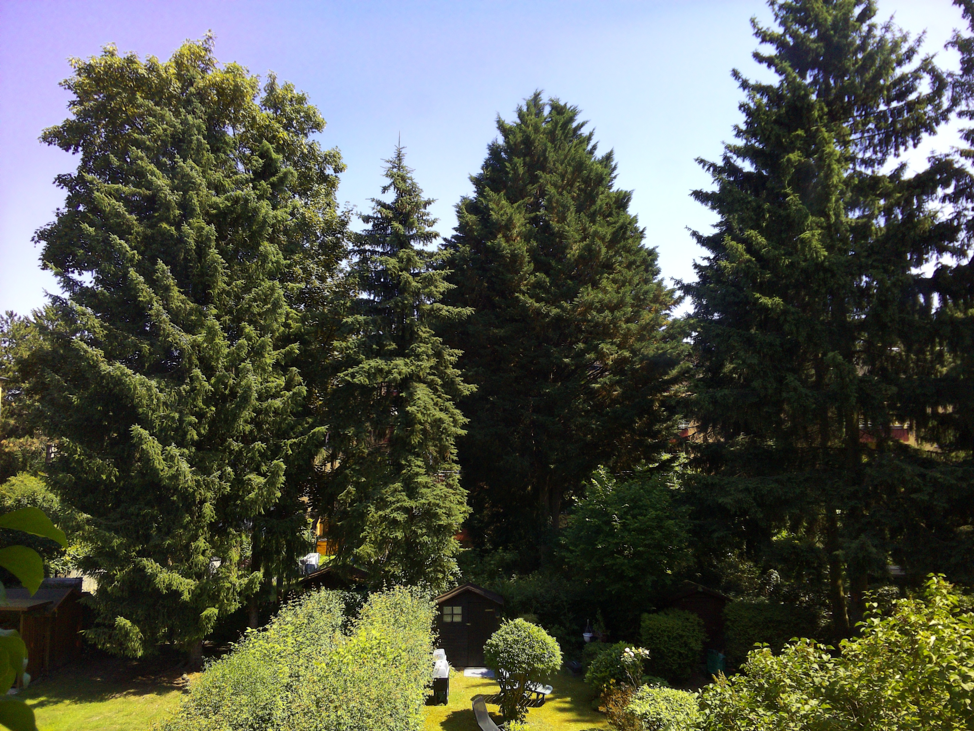 Vorschau vom 14.06.2025