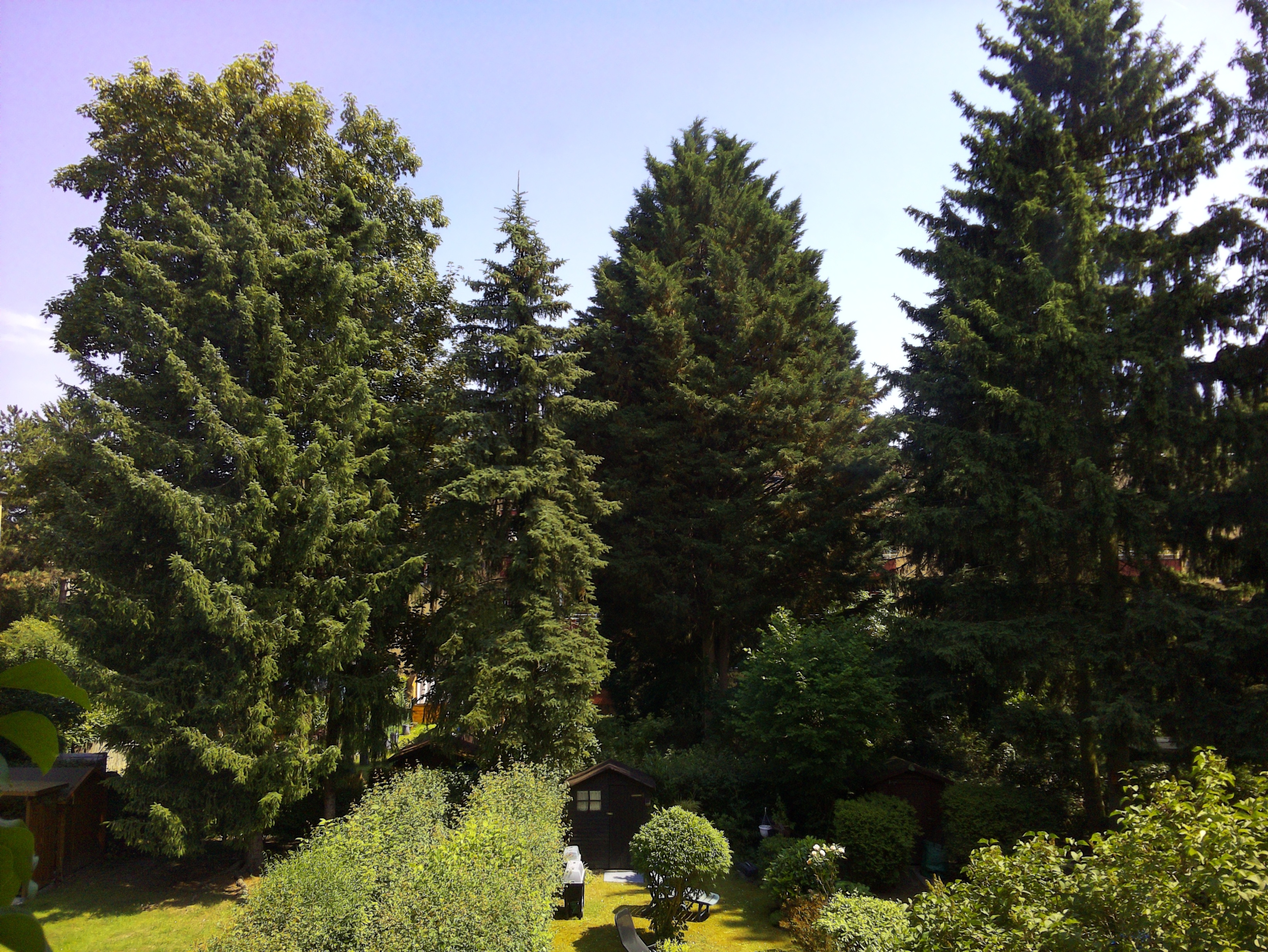 Vorschau vom 15.06.2025