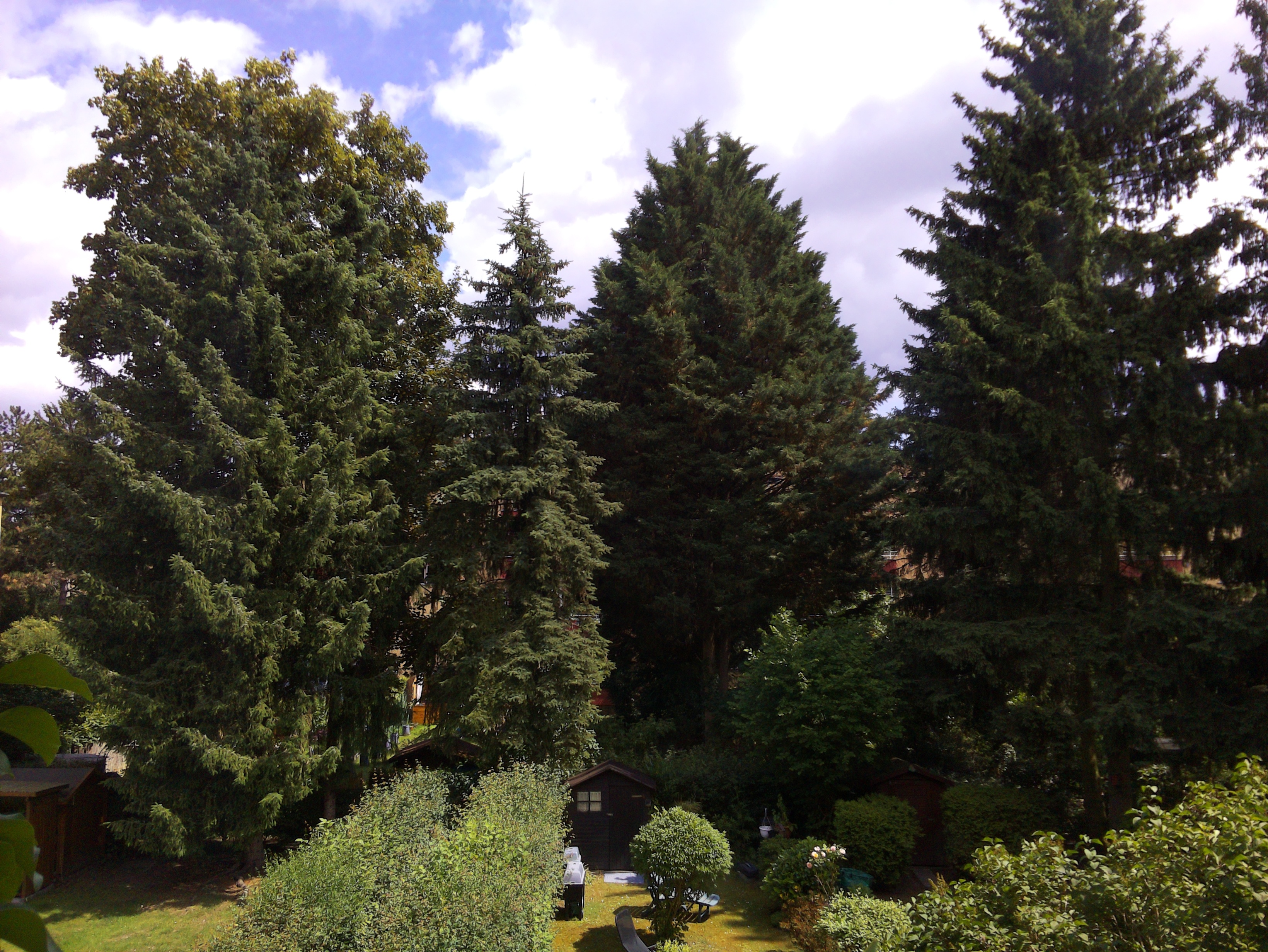 Vorschau vom 16.06.2025