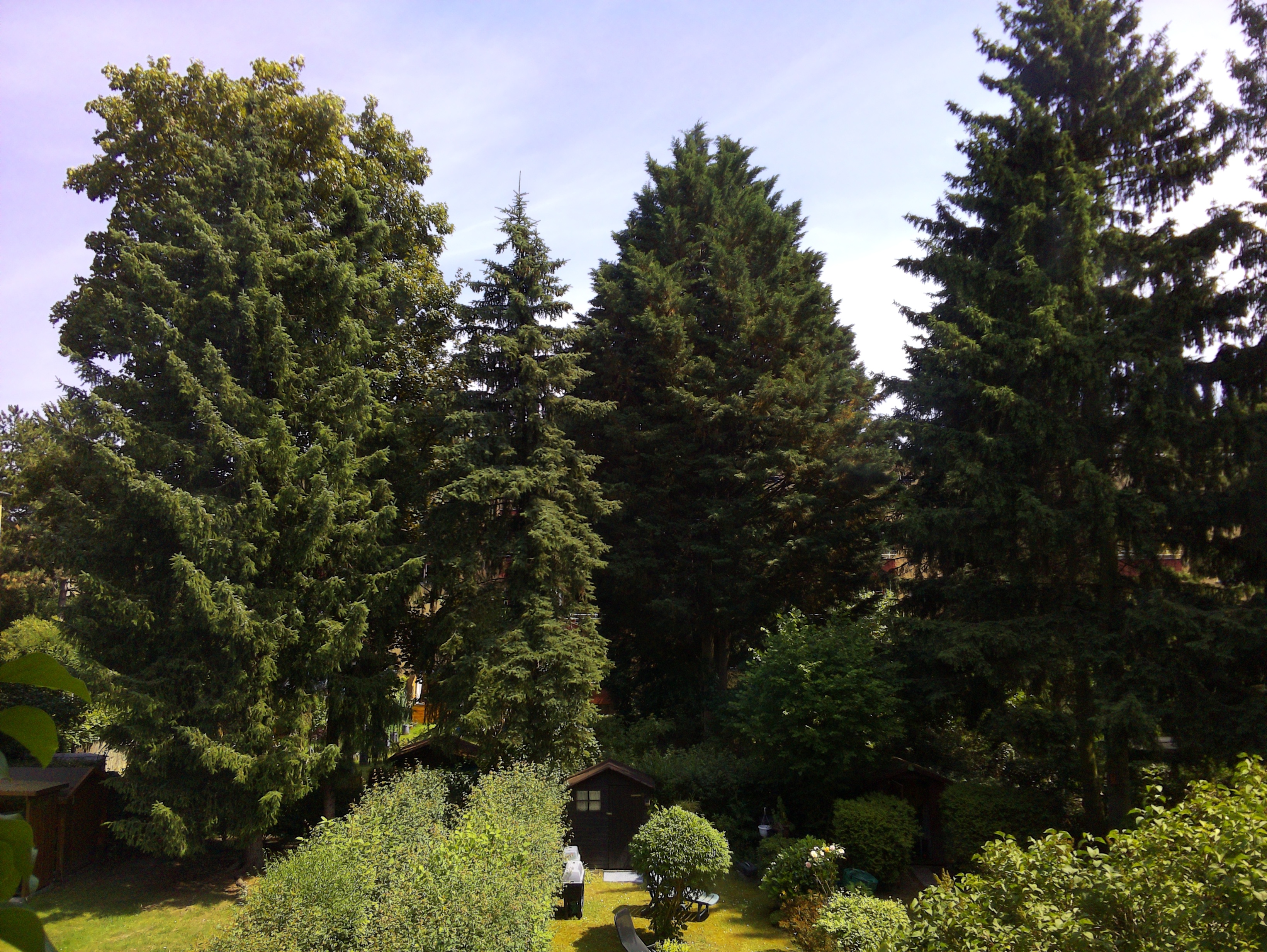 Vorschau vom 17.06.2025