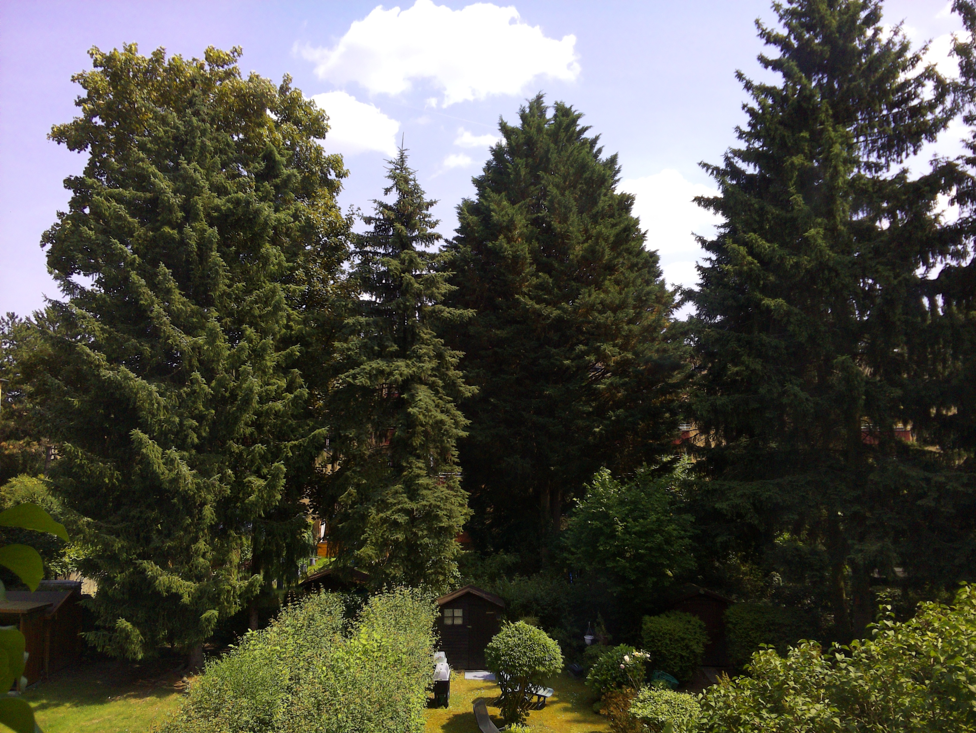 Vorschau vom 18.06.2025