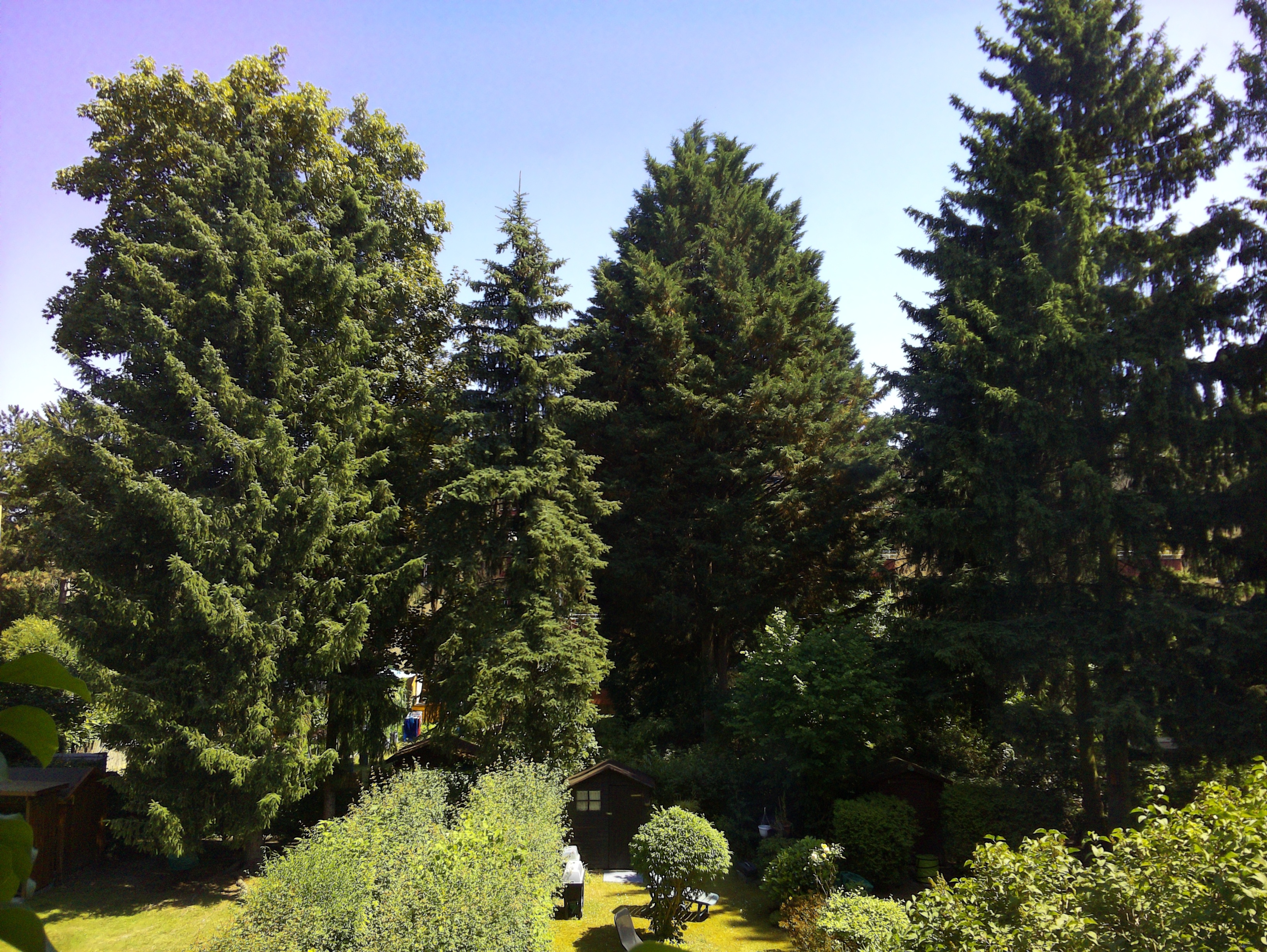 Vorschau vom 21.06.2025