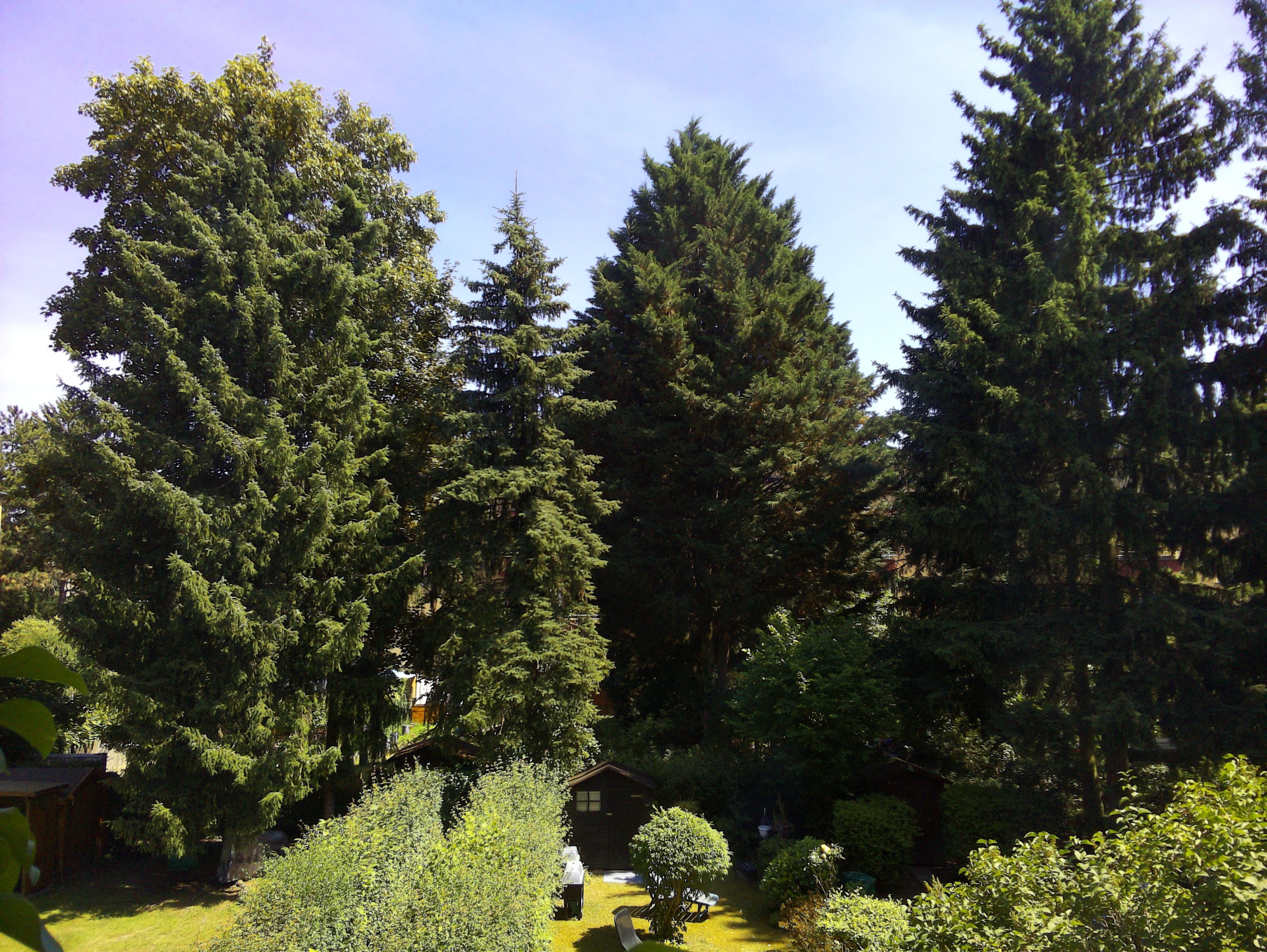 Vorschau vom 22.06.2025