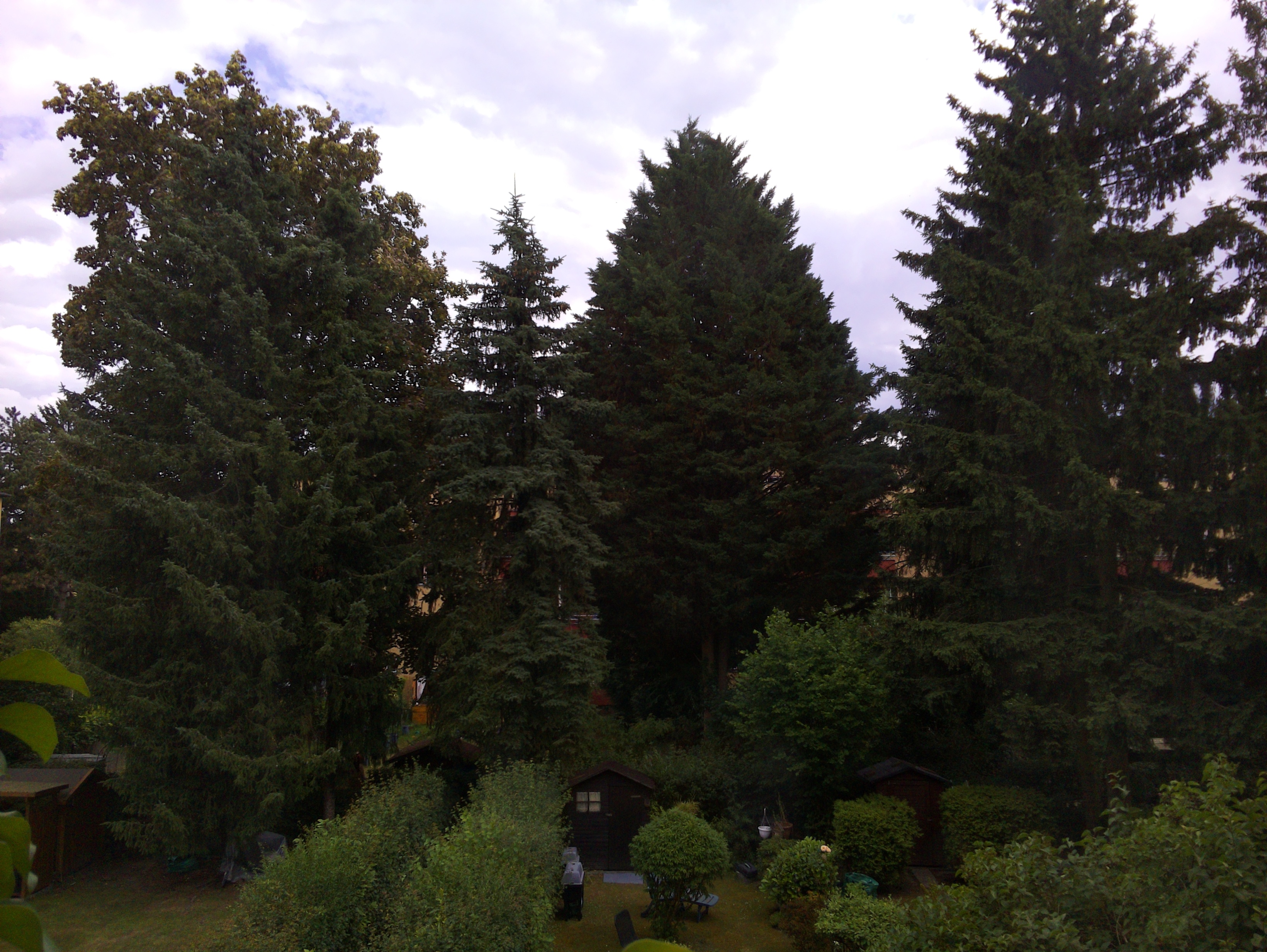 Vorschau vom 23.06.2025