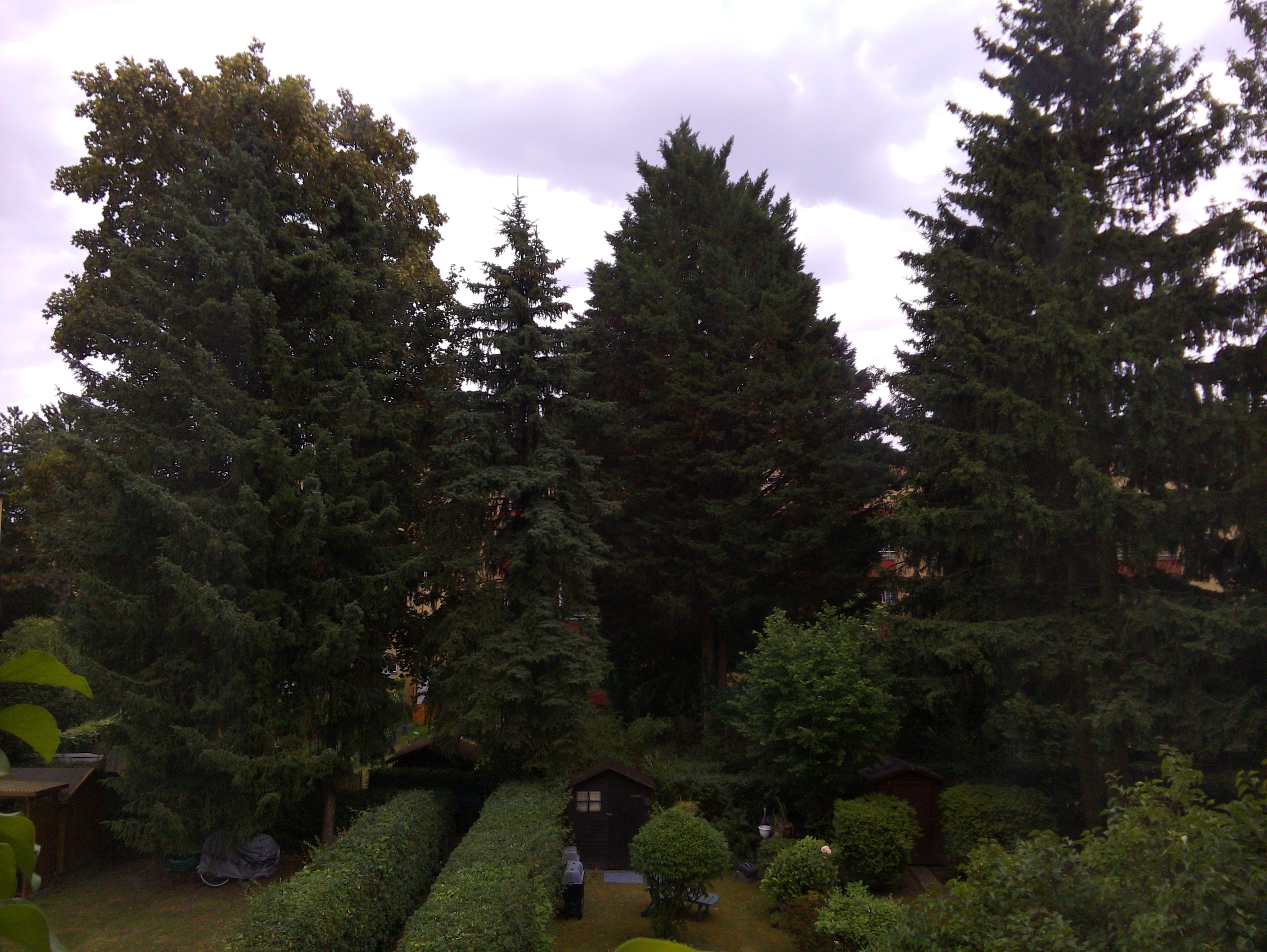 Vorschau vom 24.06.2025