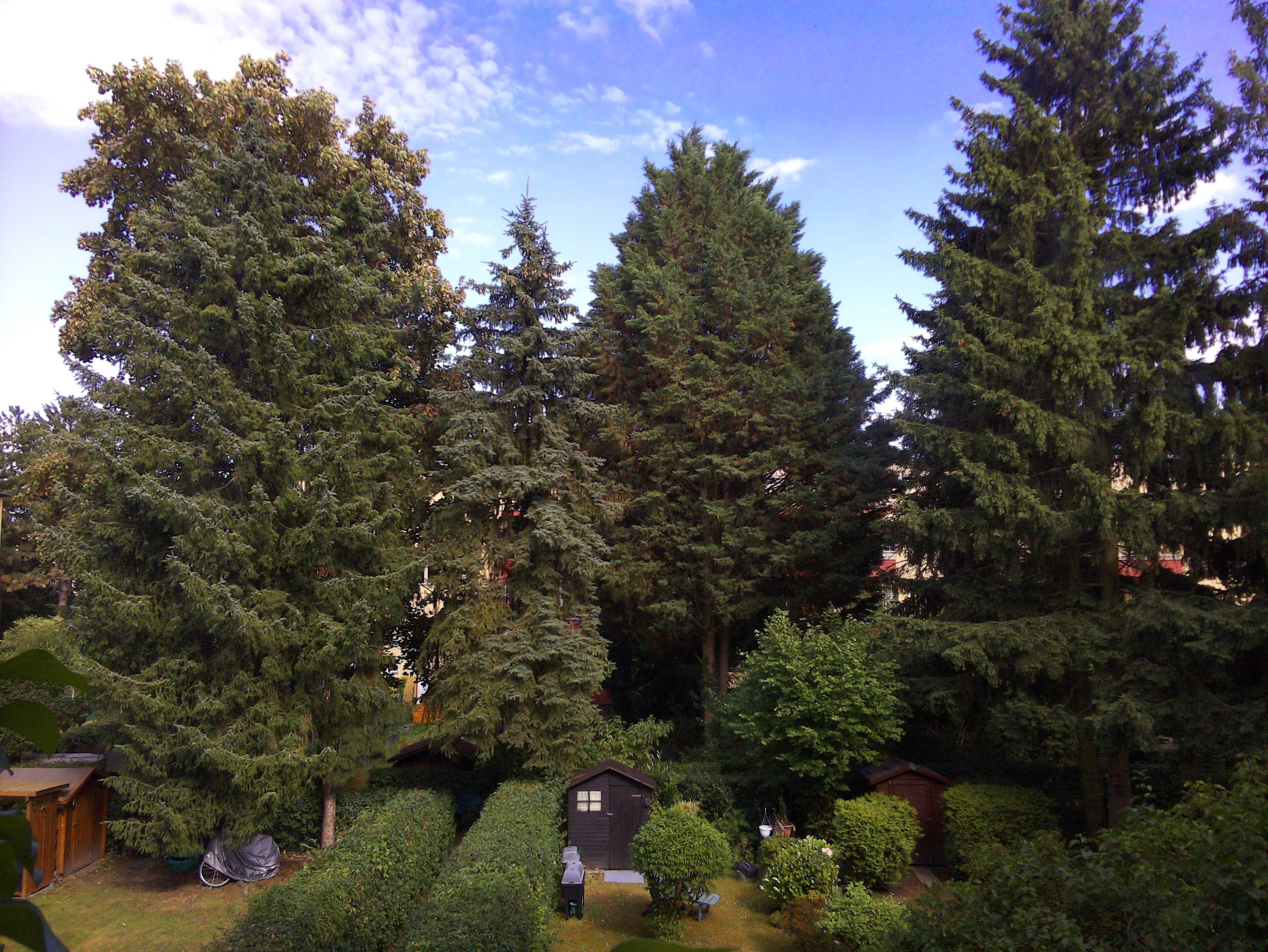 Vorschau vom 25.06.2025