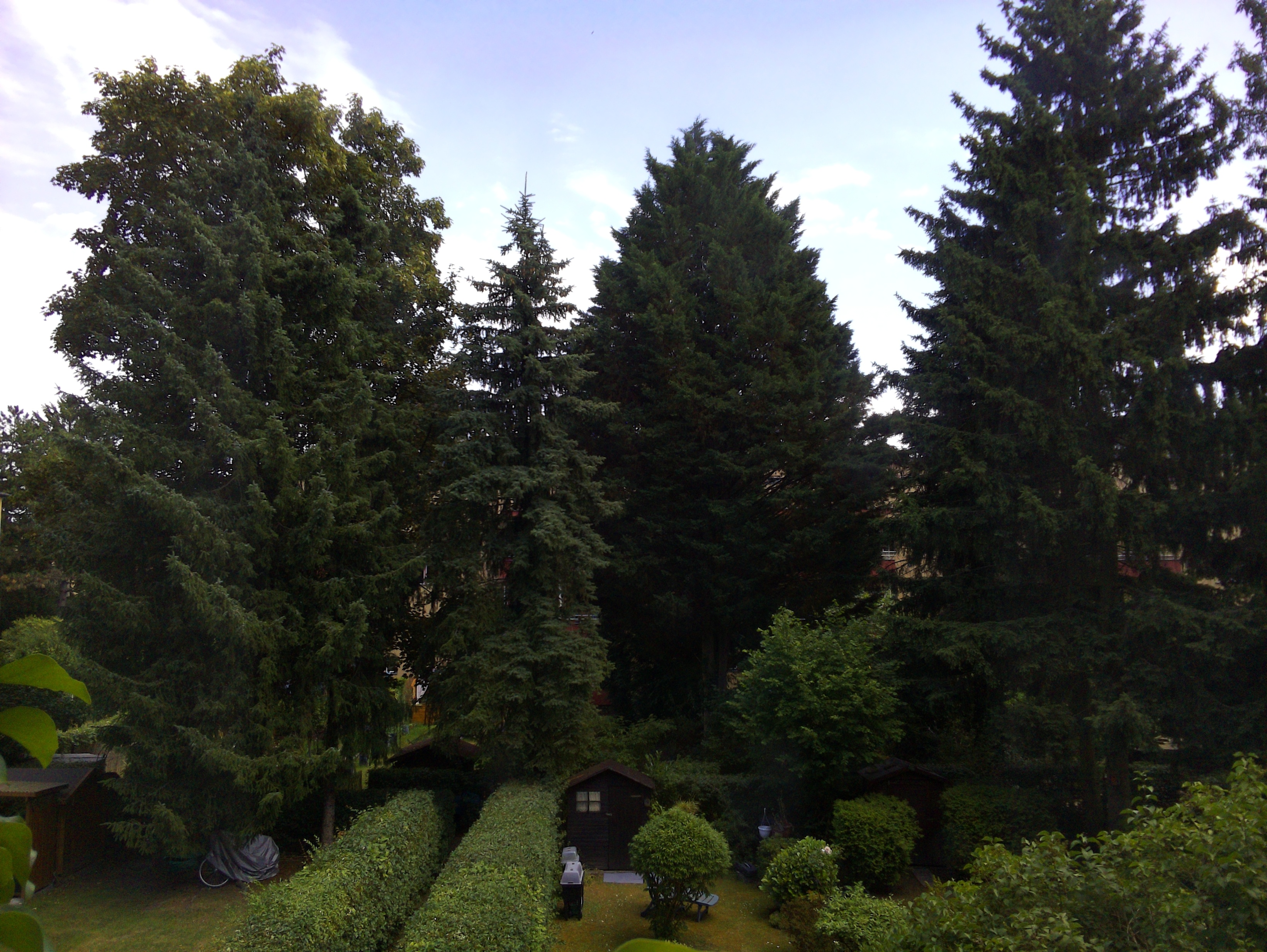 Vorschau vom 26.06.2025