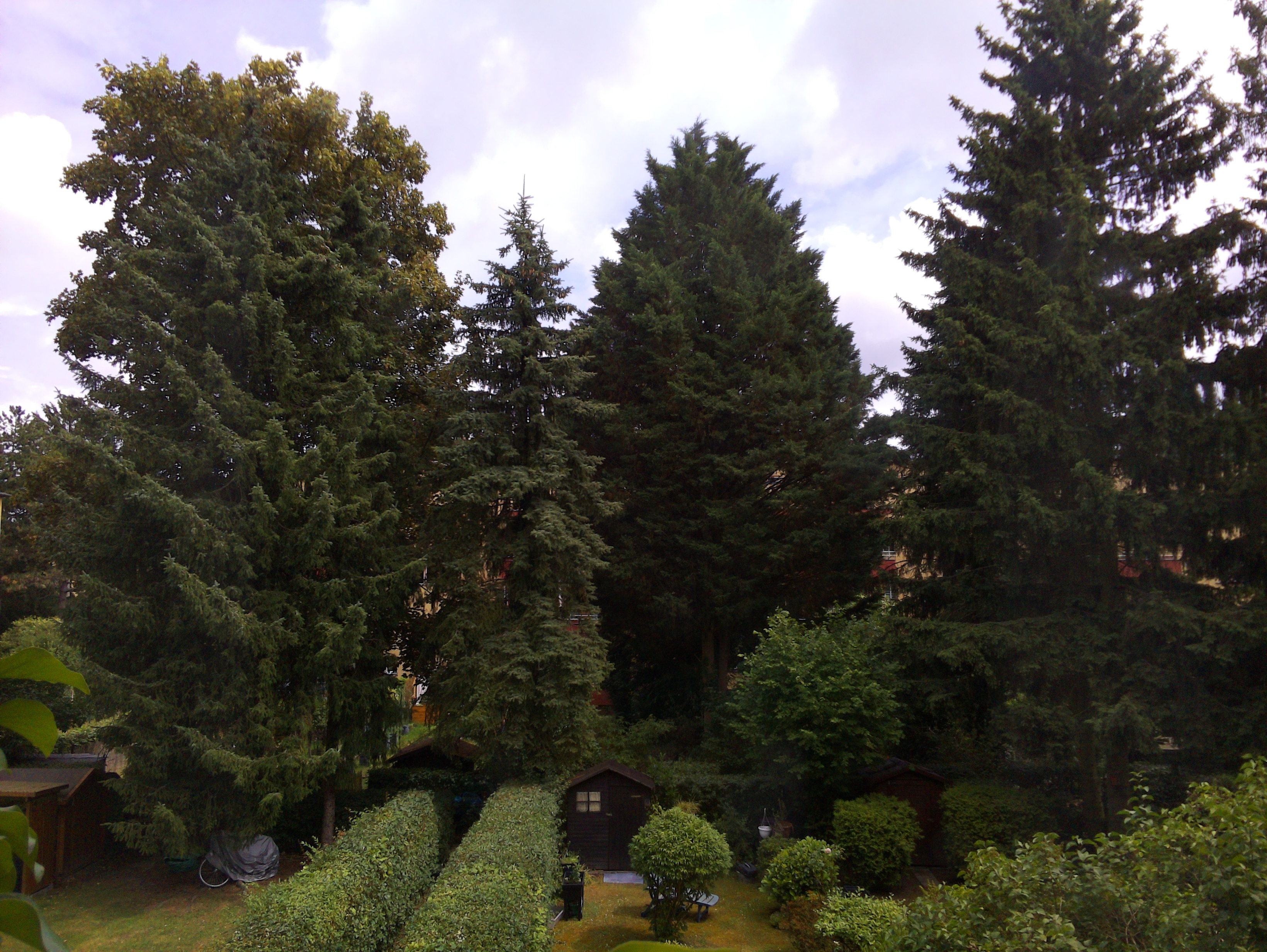 Vorschau vom 27.06.2025