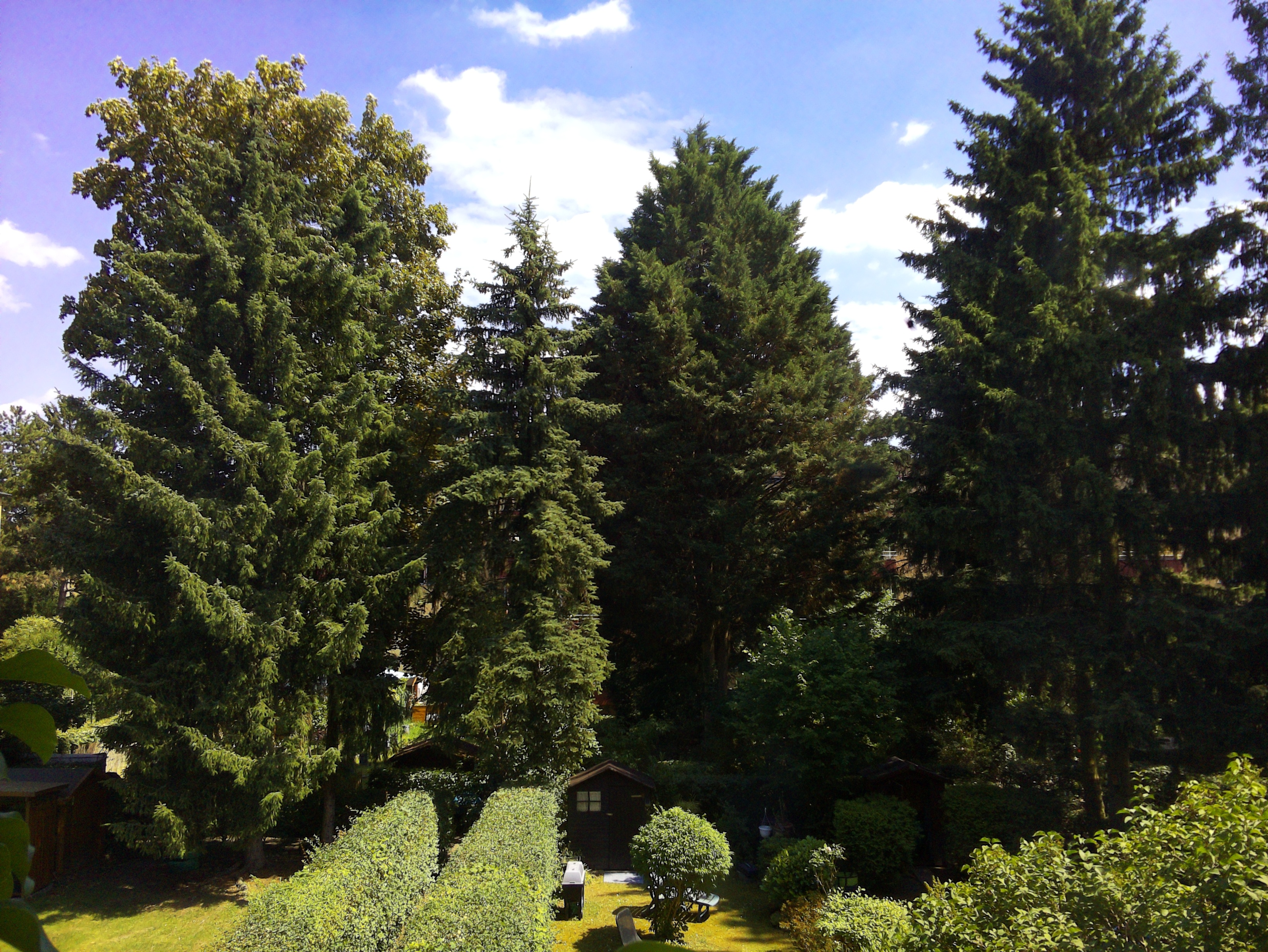 Vorschau vom 28.06.2025