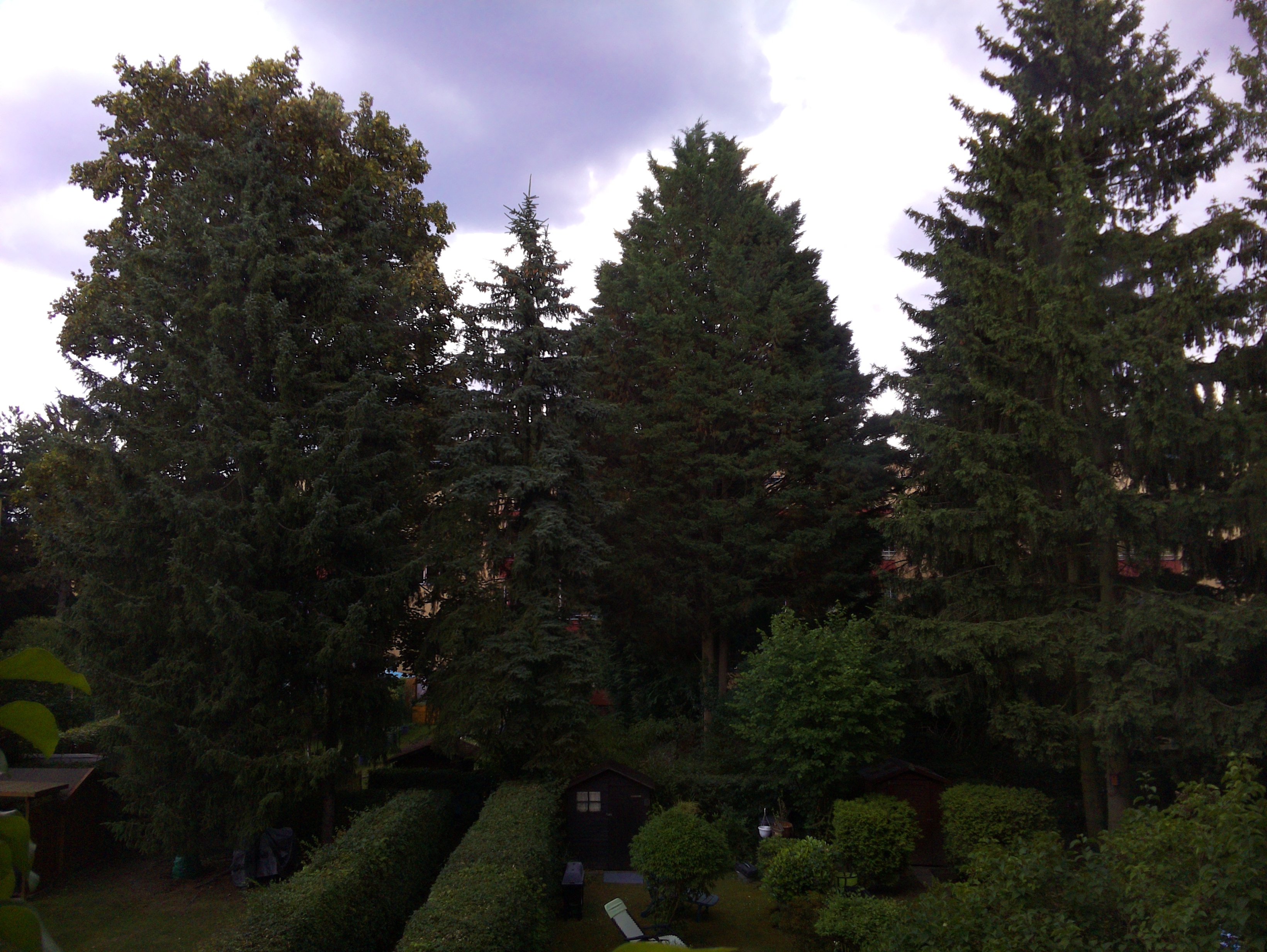 Vorschau vom 29.06.2025