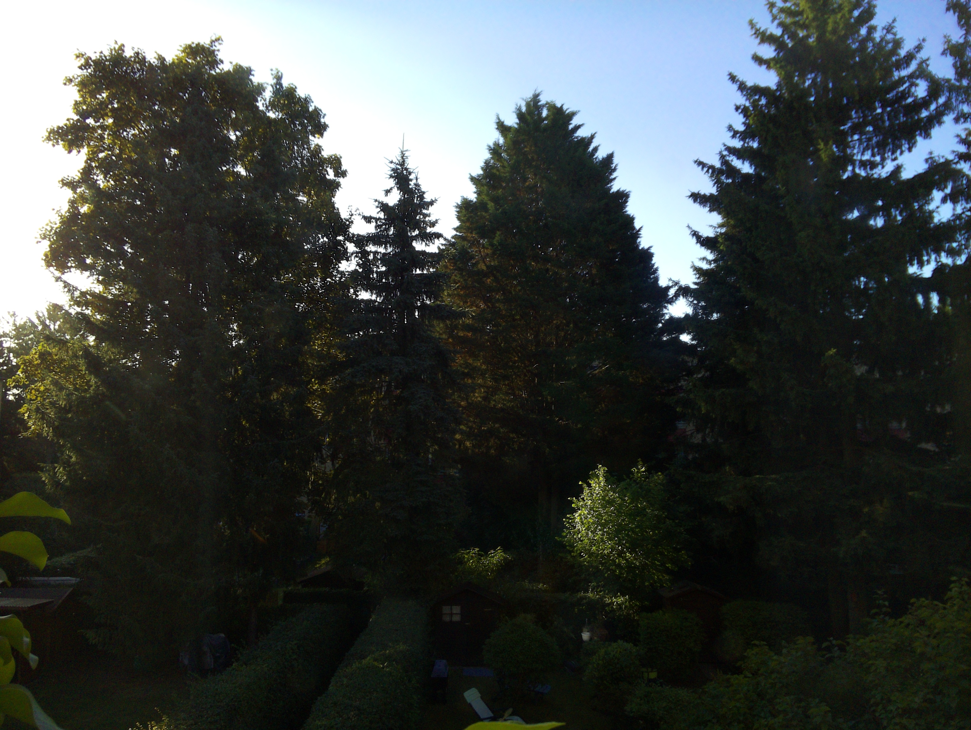 Vorschau vom 30.06.2025